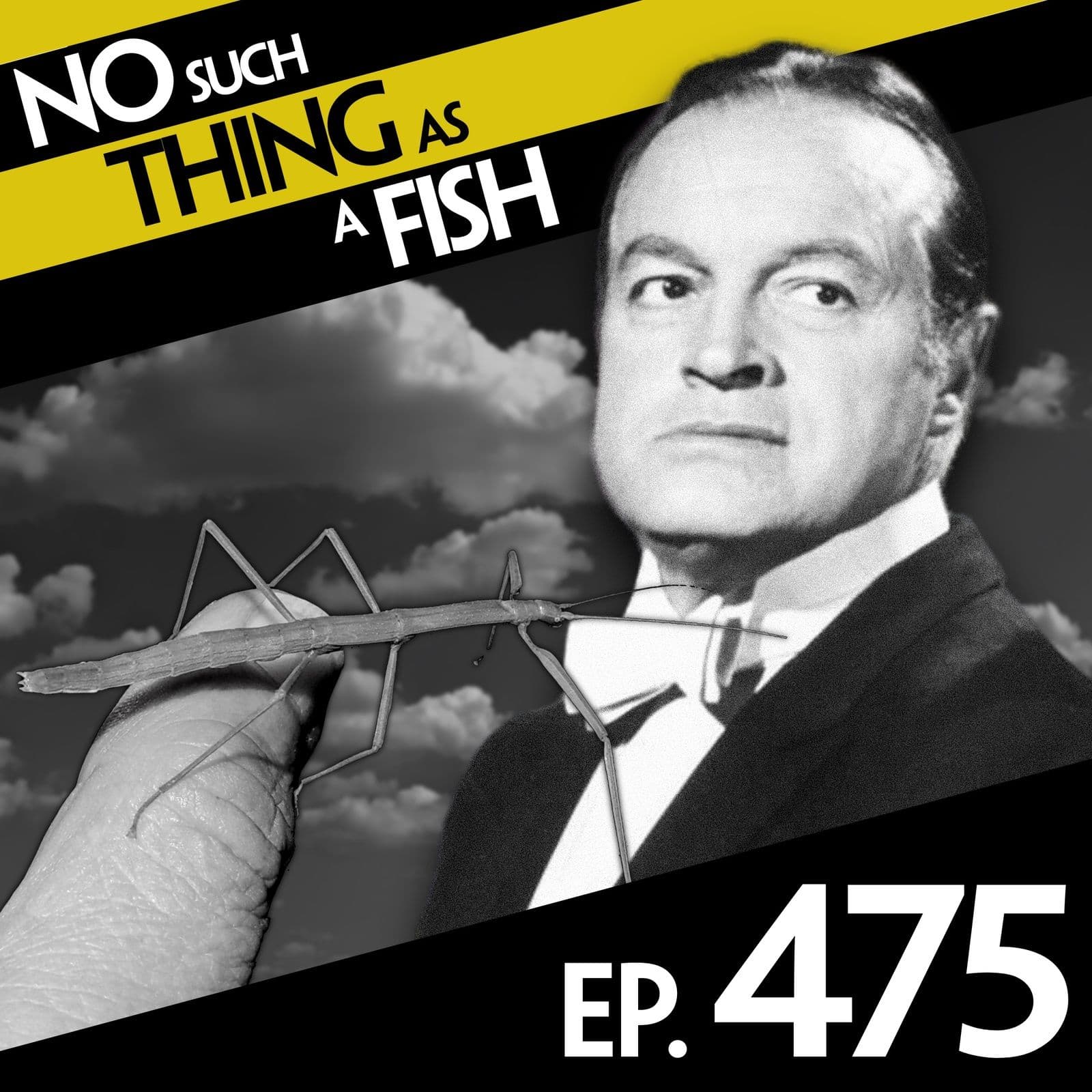 No Such Thing As A Fish podcast cover art