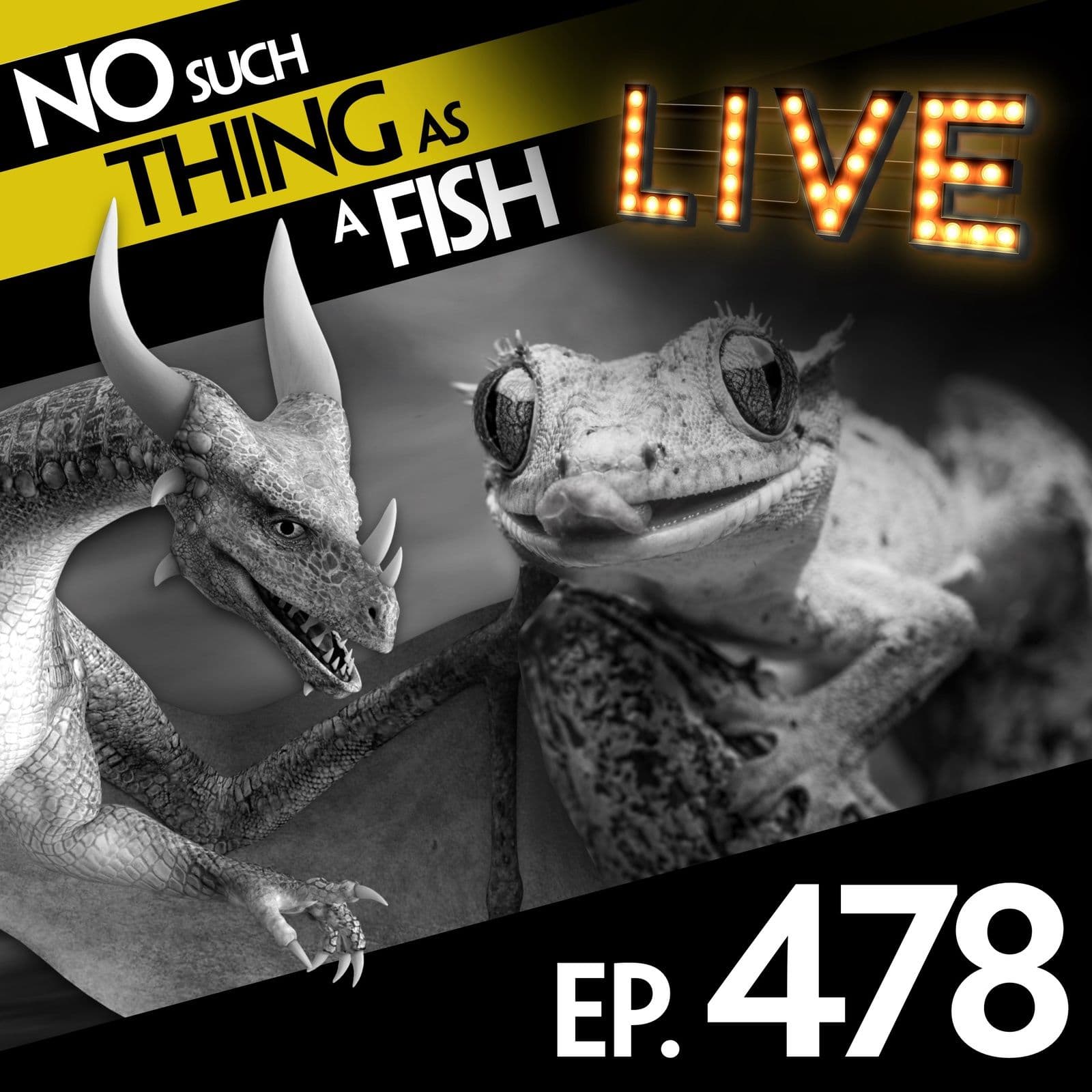 No Such Thing As A Fish podcast cover art