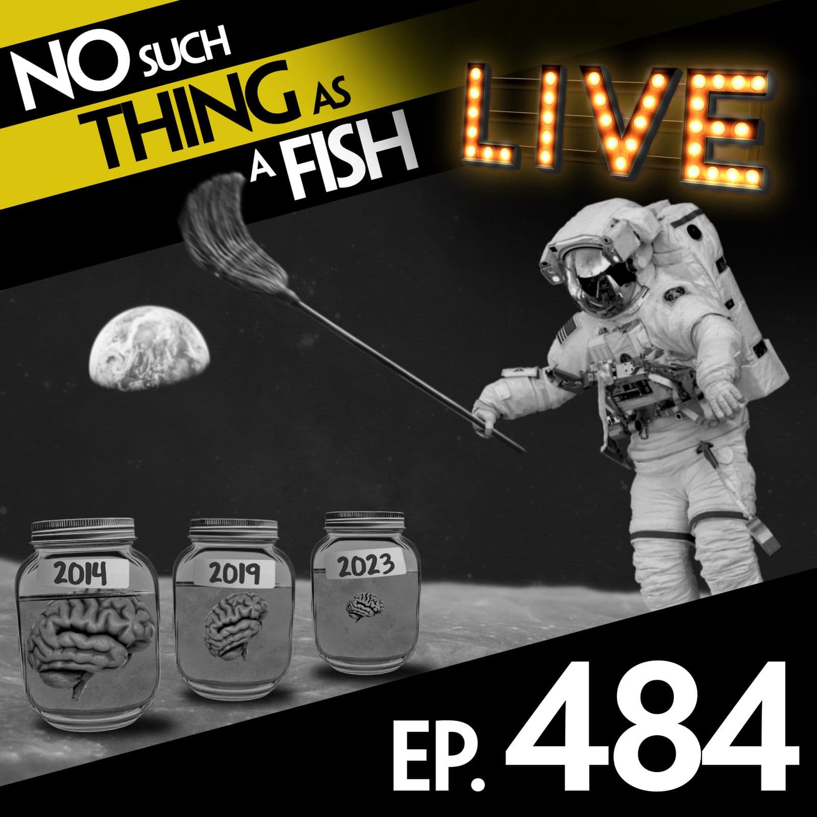 No Such Thing As A Fish podcast cover art