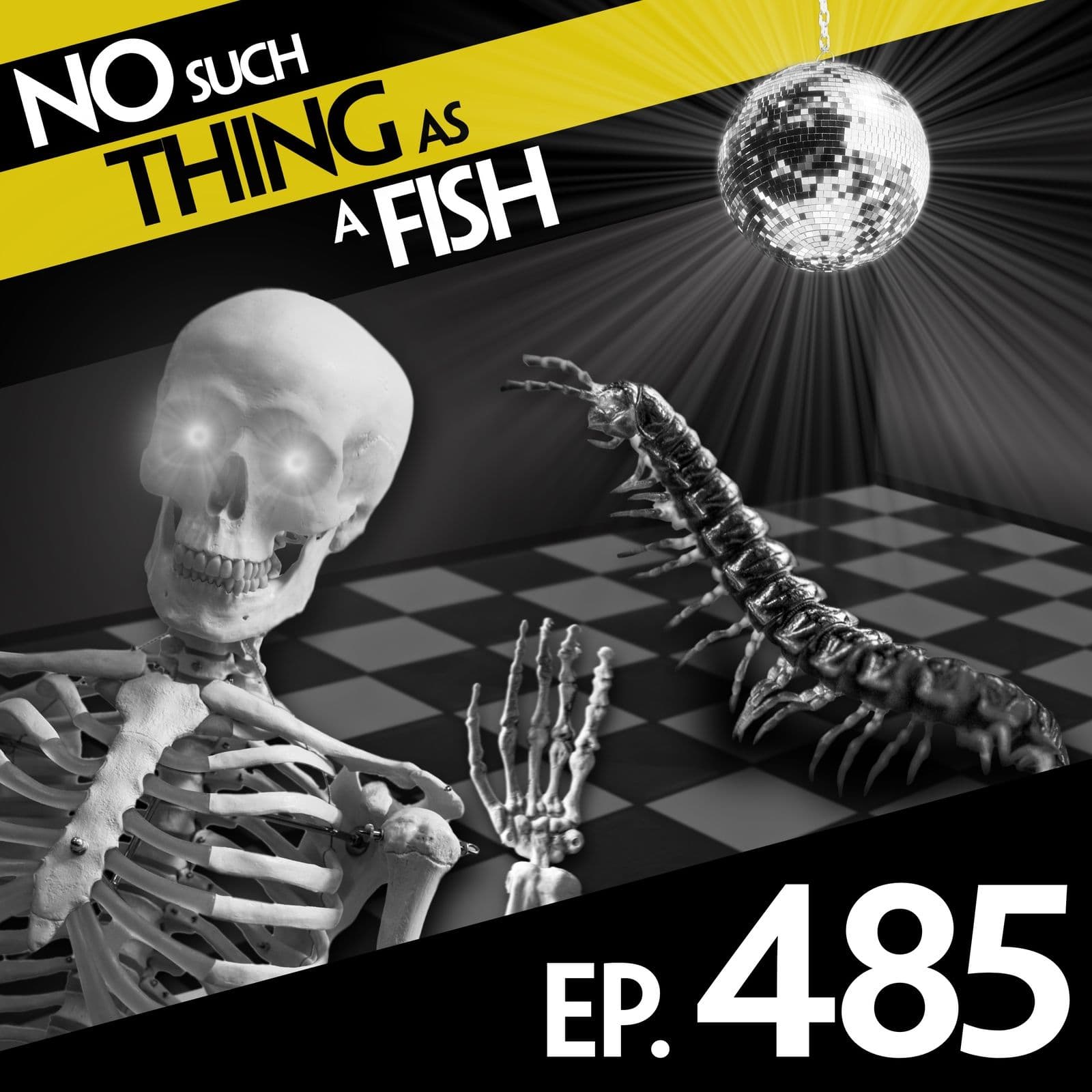 No Such Thing As A Fish podcast cover art