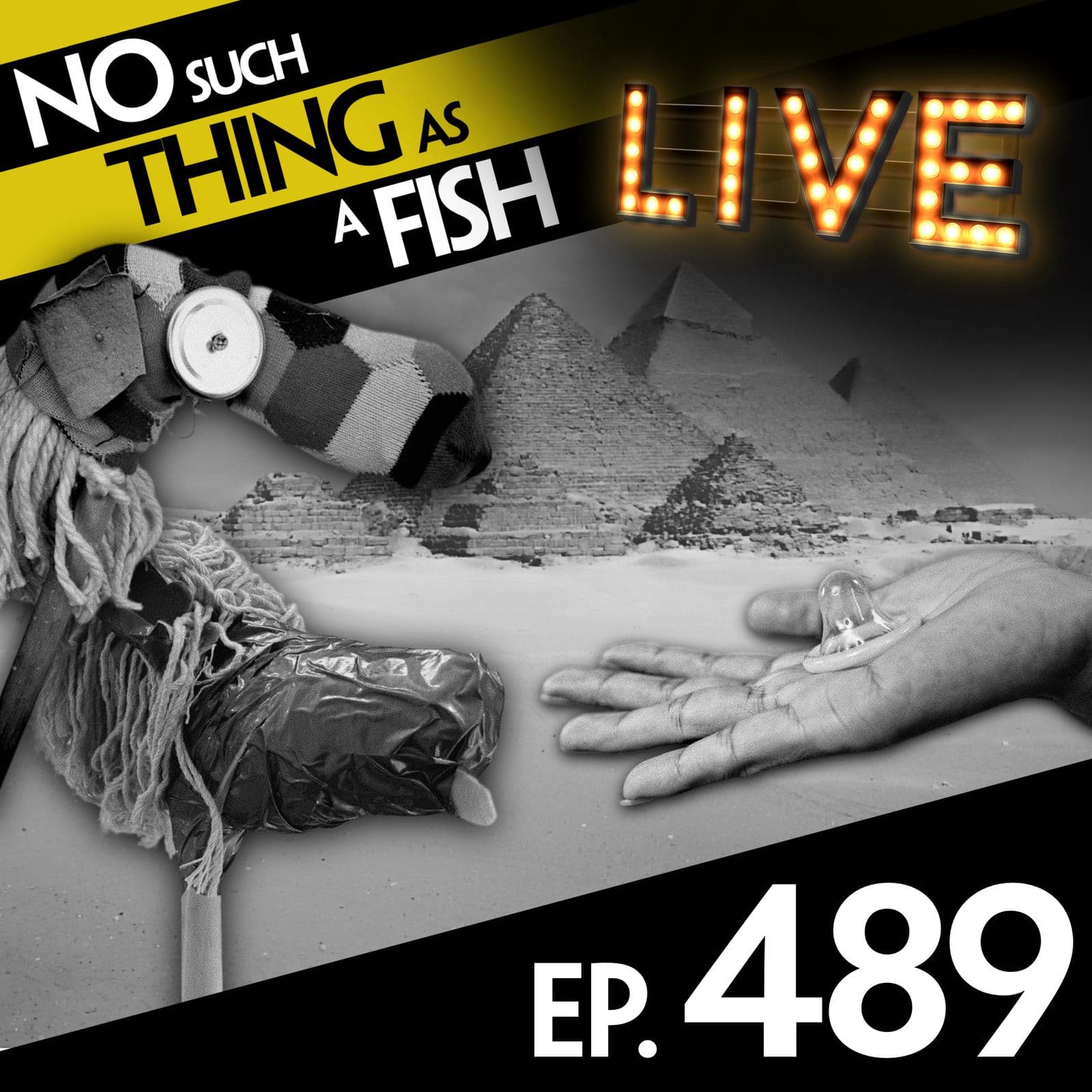 No Such Thing As A Fish podcast cover art
