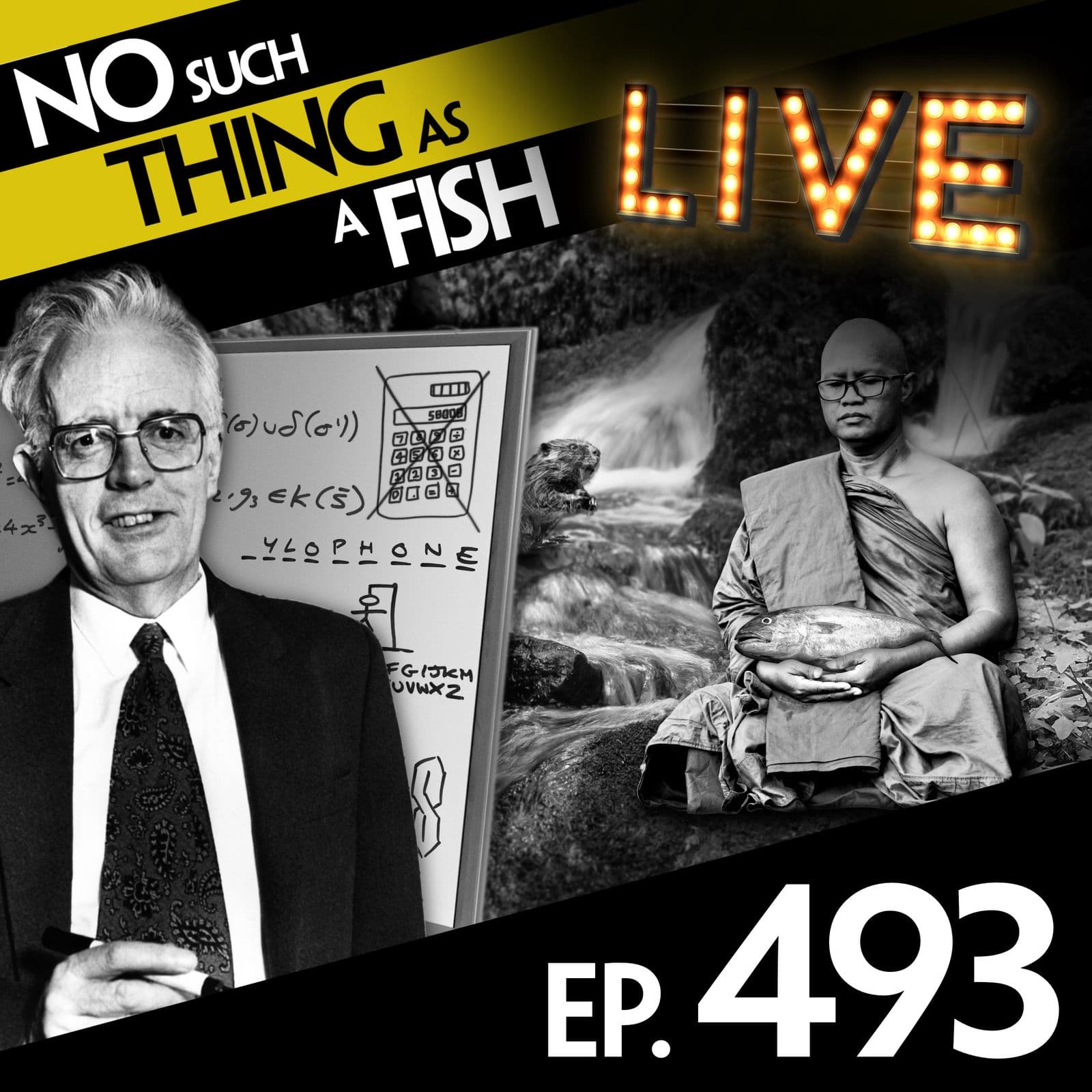 No Such Thing As A Fish podcast cover art