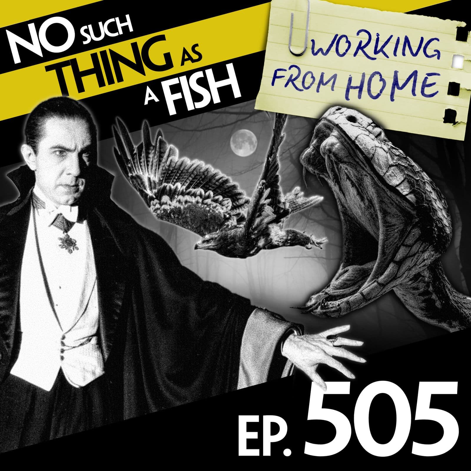 No Such Thing As A Fish podcast cover art