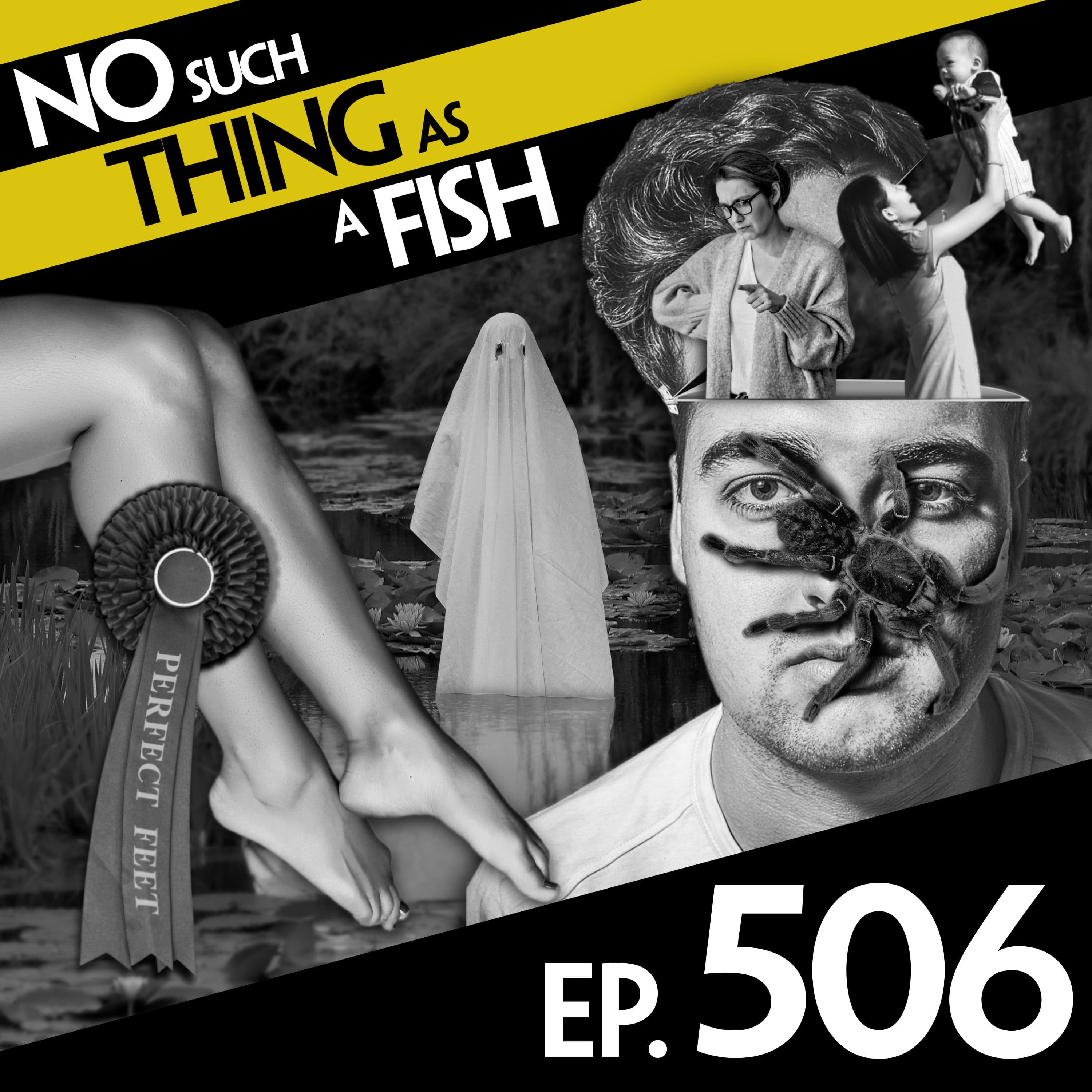 No Such Thing As A Fish podcast cover art