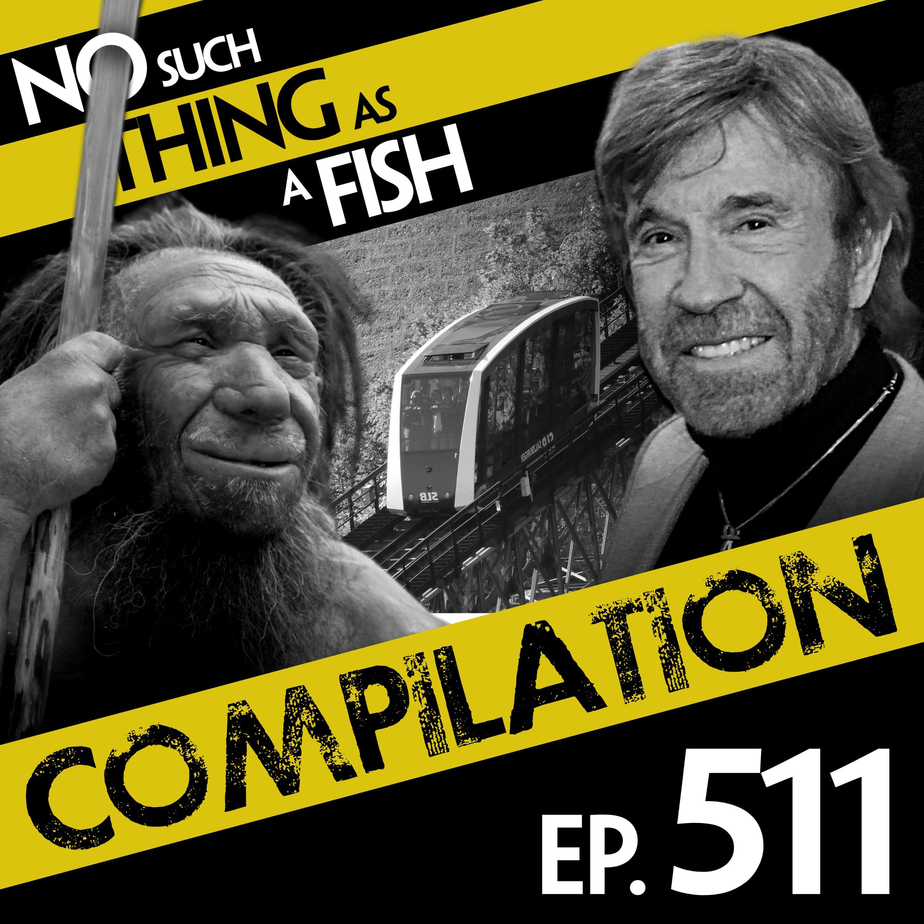 No Such Thing As A Fish podcast cover art