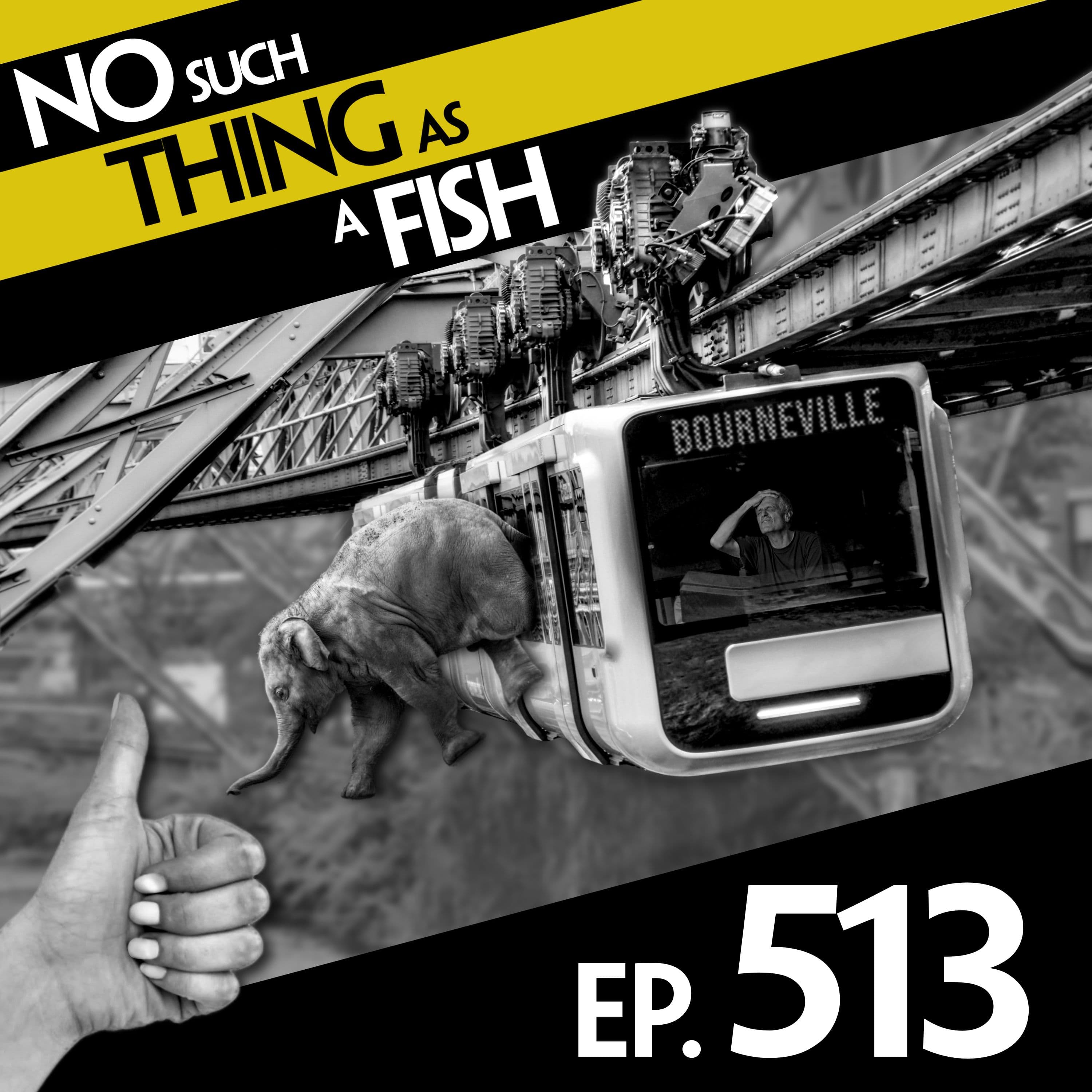 No Such Thing As A Fish podcast cover art