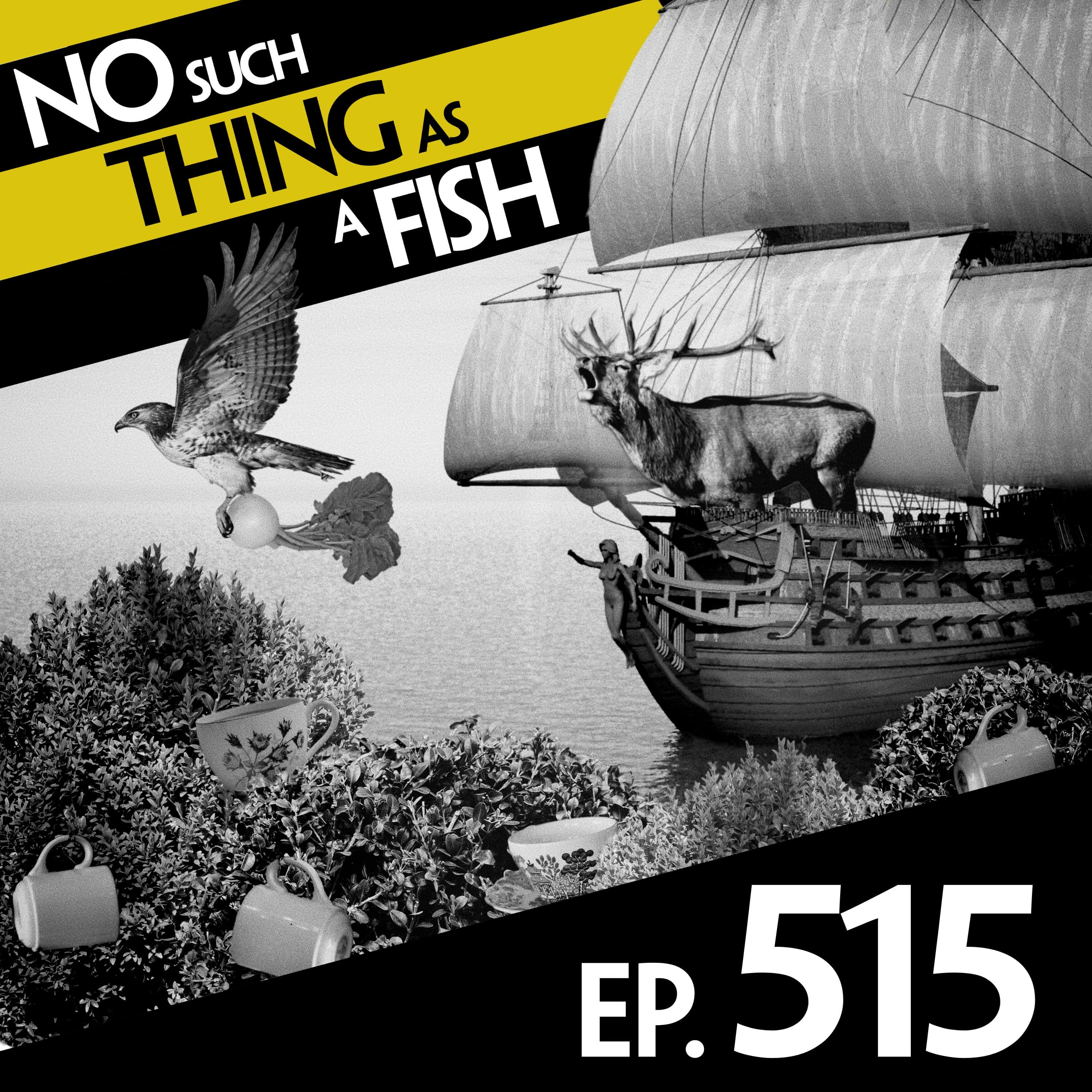 No Such Thing As A Fish podcast cover art