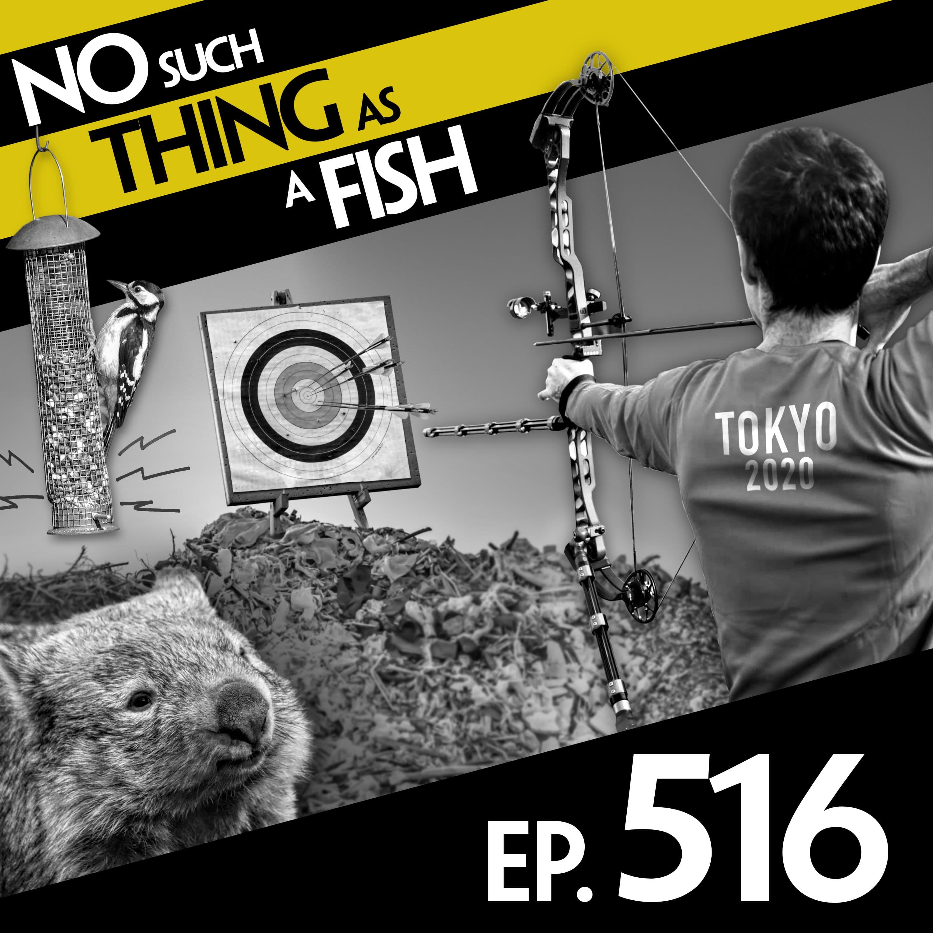 No Such Thing As A Fish podcast cover art