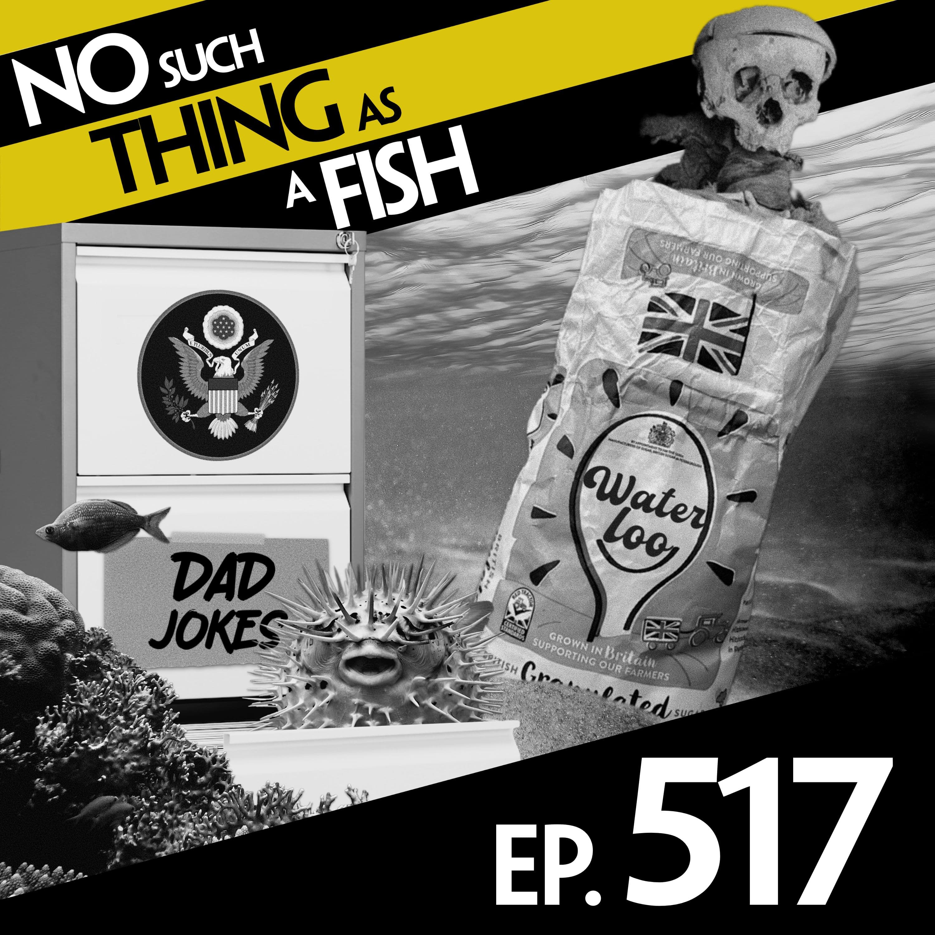 No Such Thing As A Fish podcast cover art
