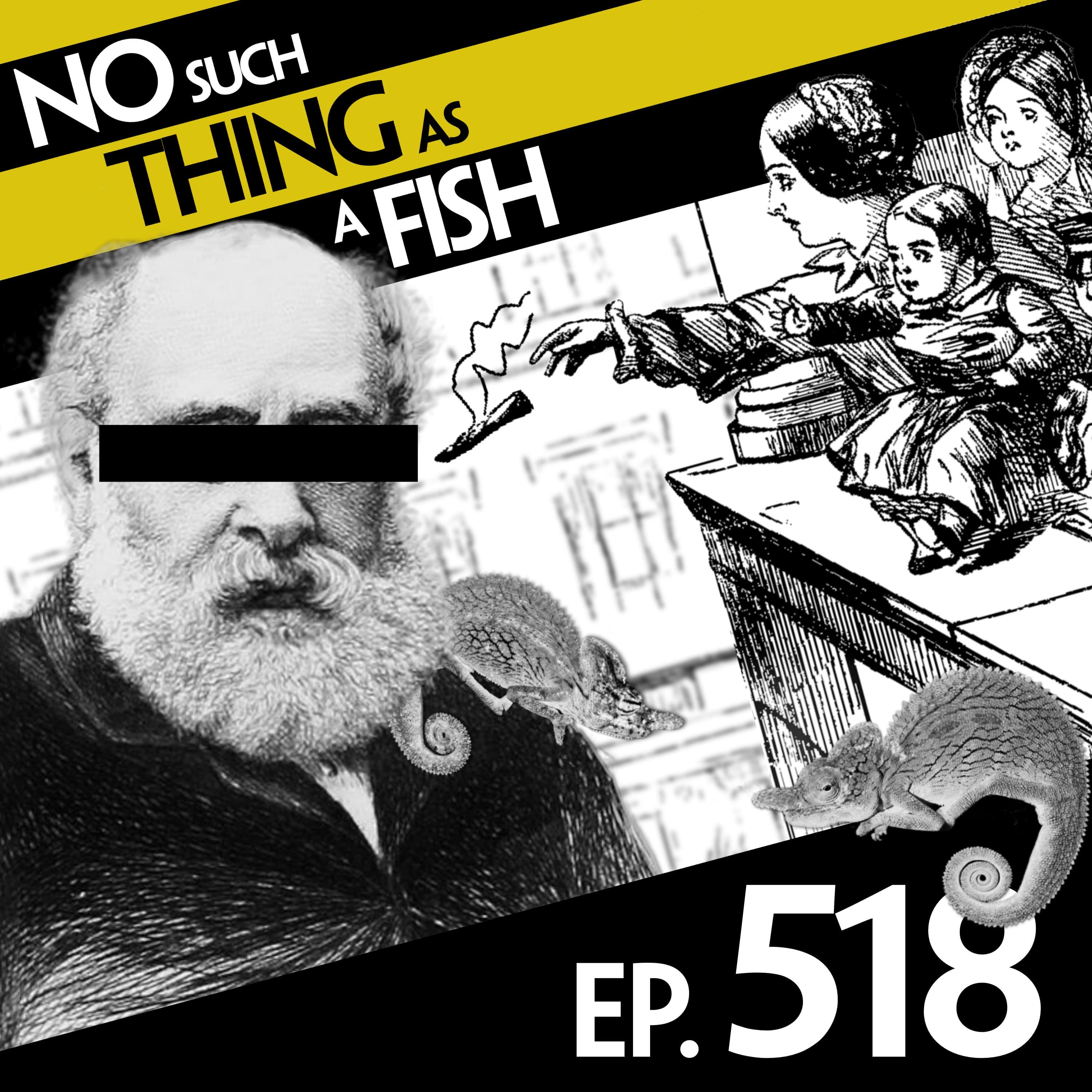 No Such Thing As A Fish podcast cover art