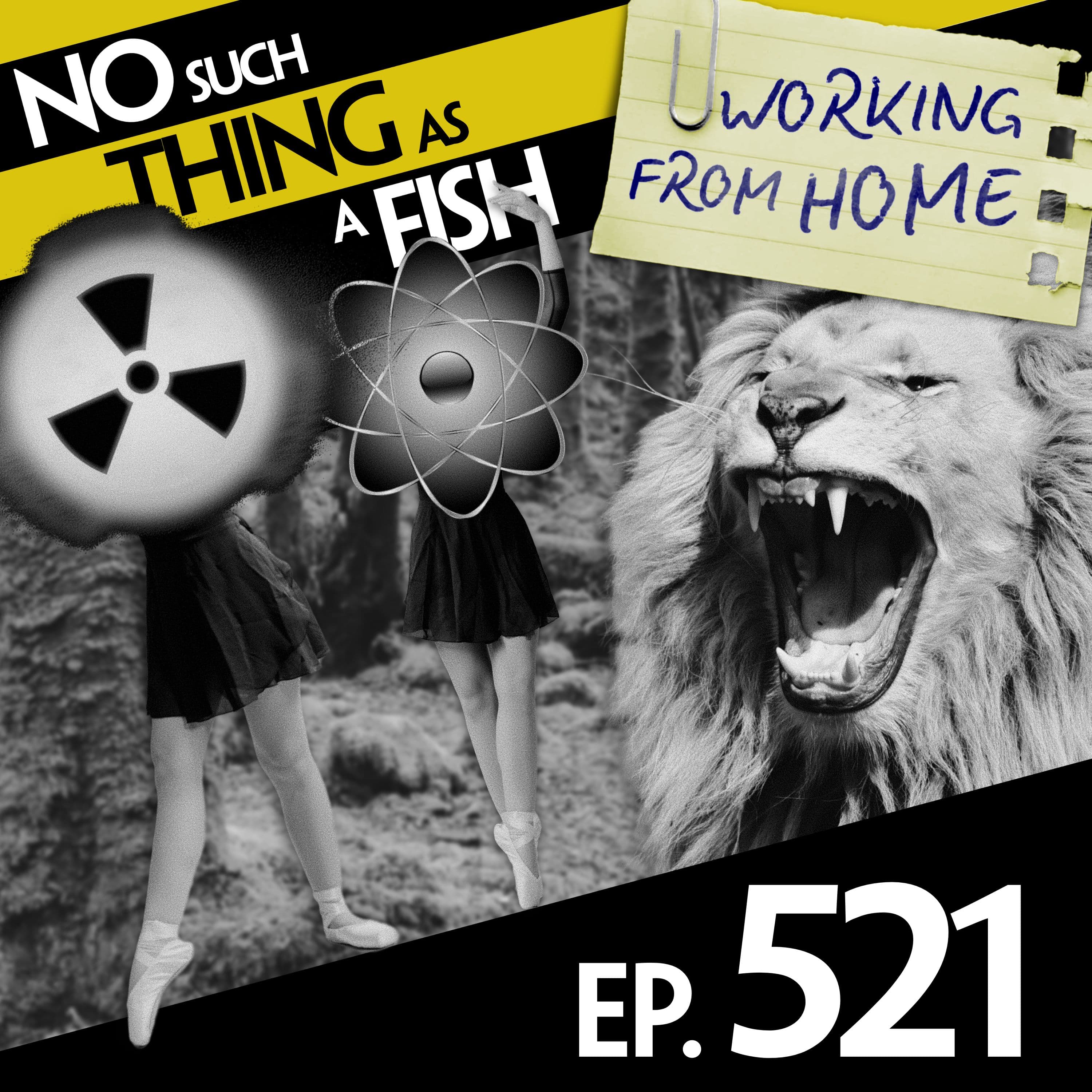 No Such Thing As A Fish podcast cover art