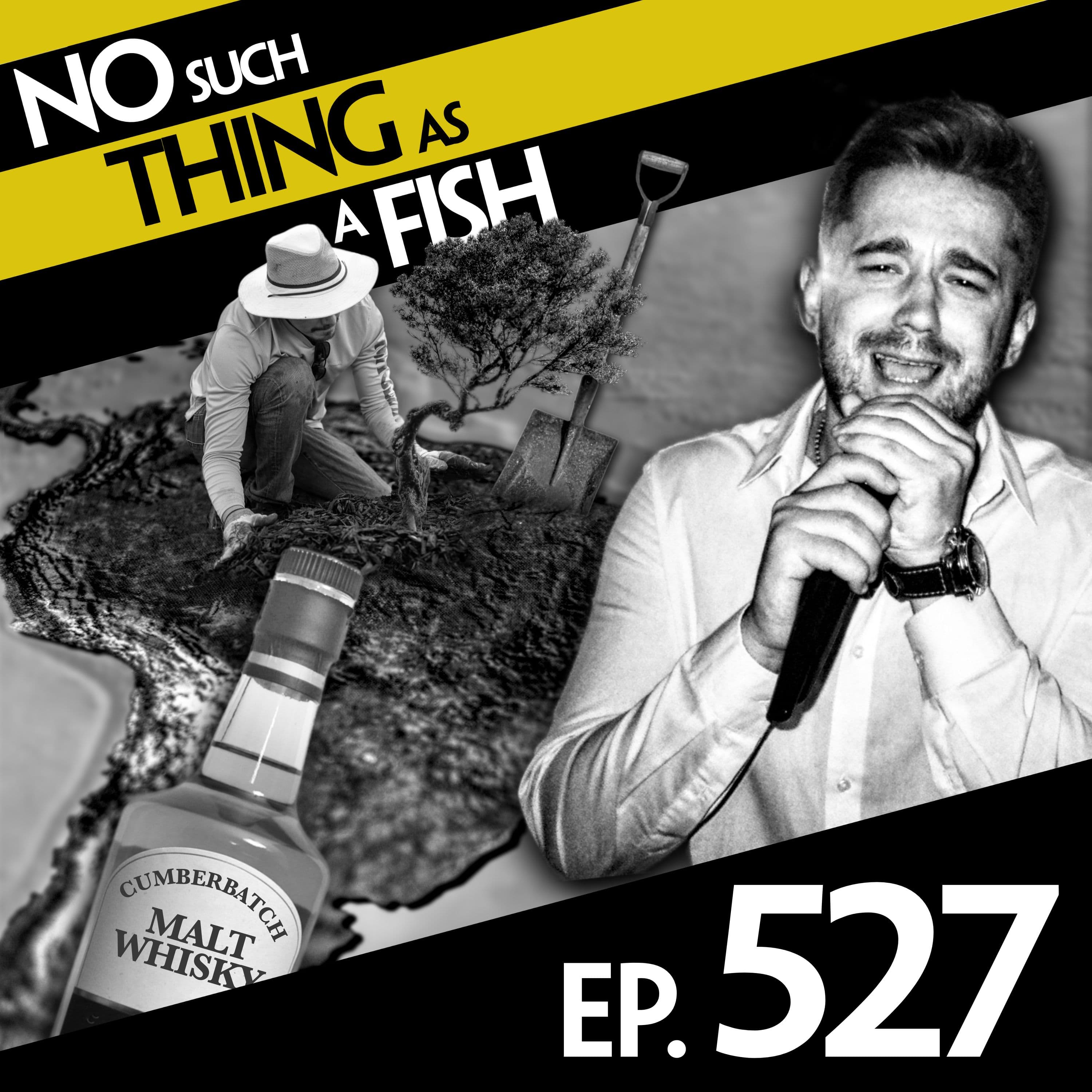 No Such Thing As A Fish podcast cover art