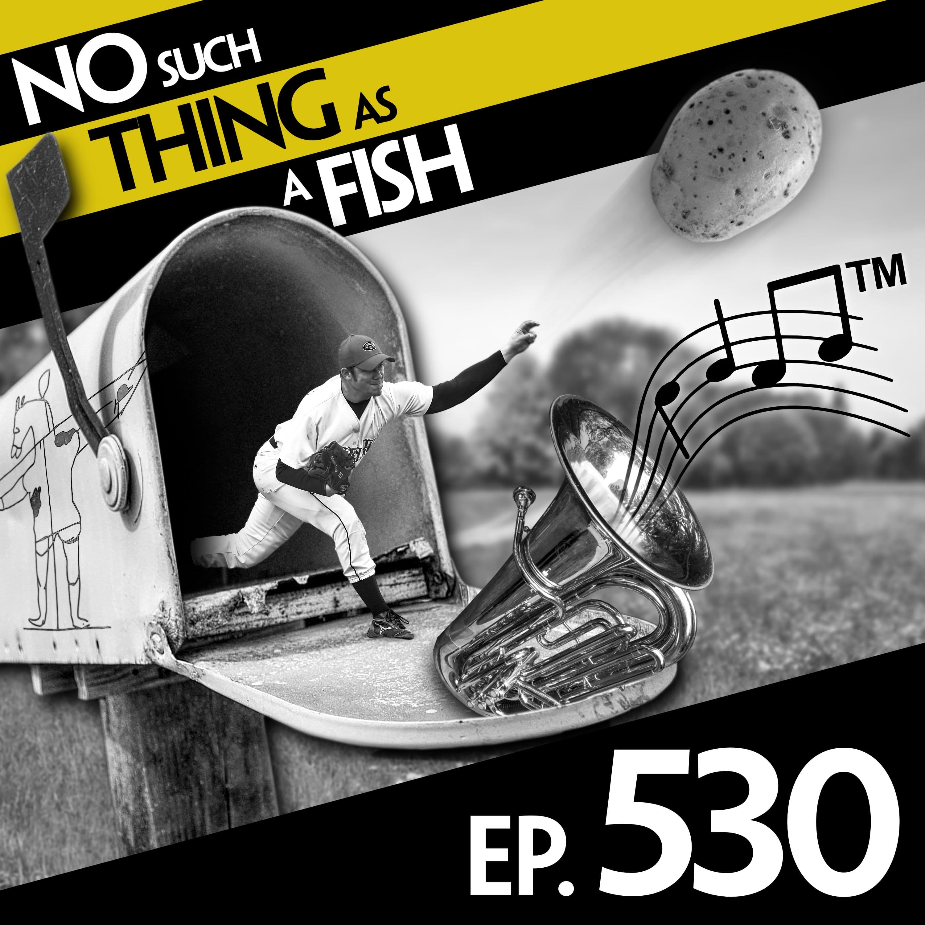 No Such Thing As A Fish podcast cover art