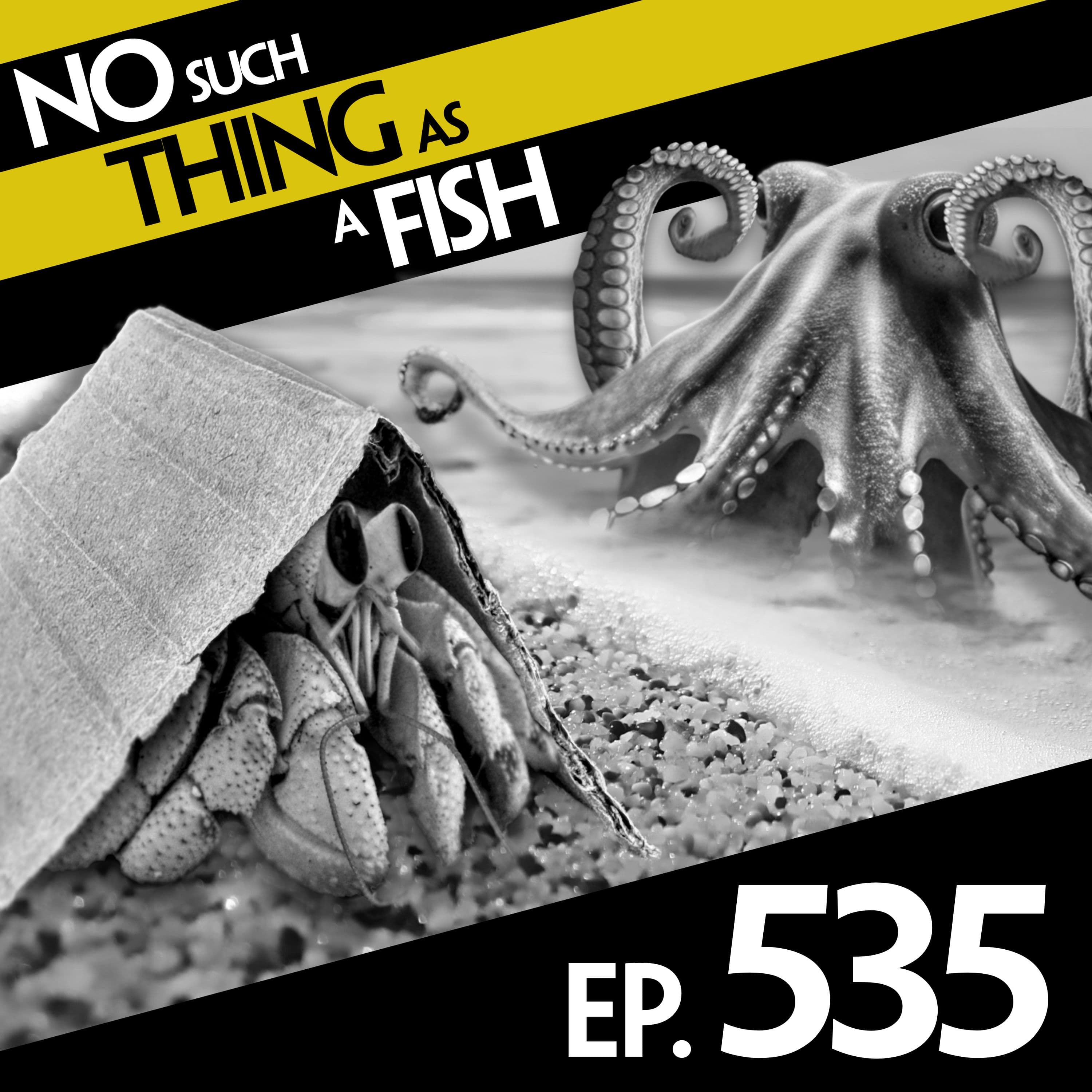 No Such Thing As A Fish podcast cover art
