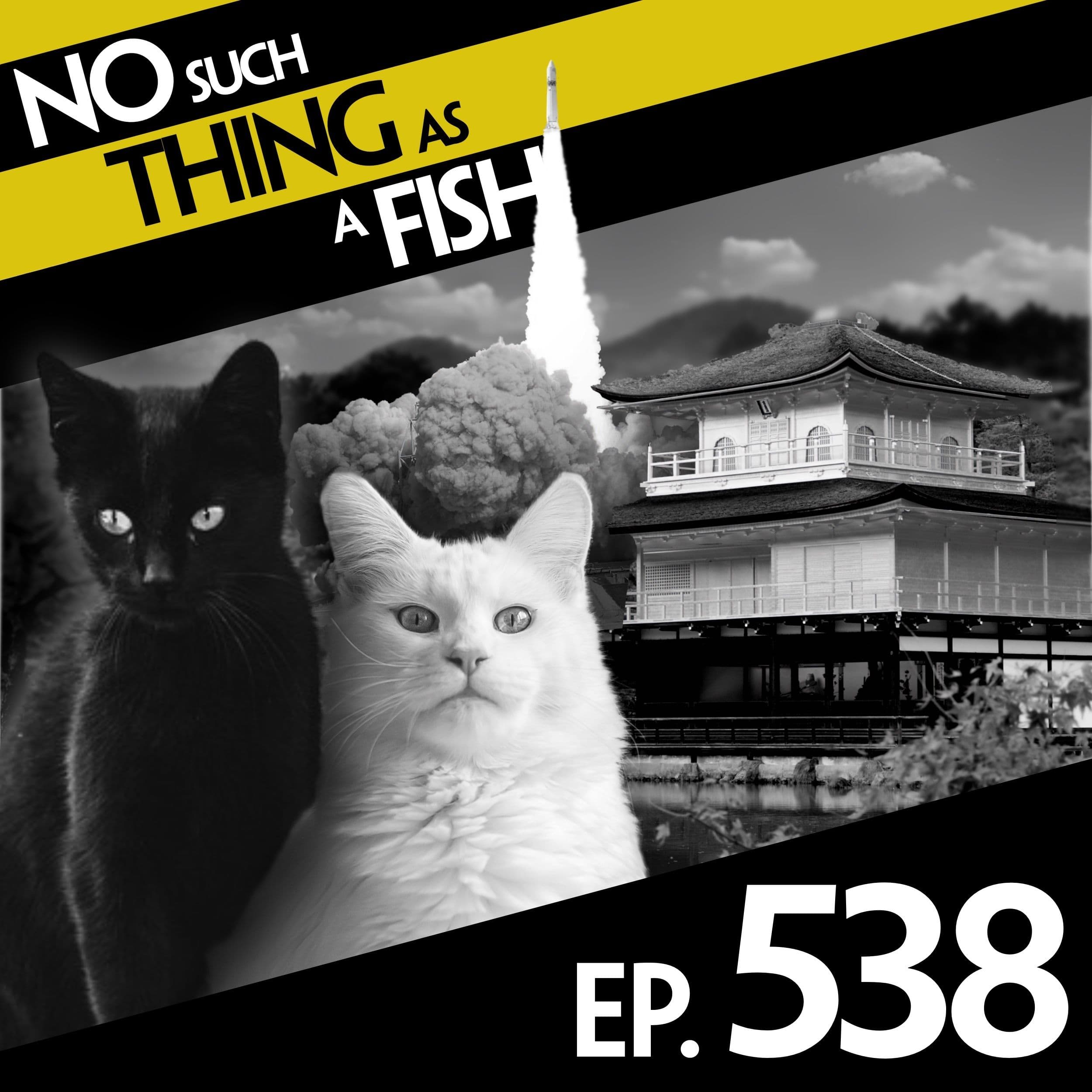 No Such Thing As A Fish podcast cover art
