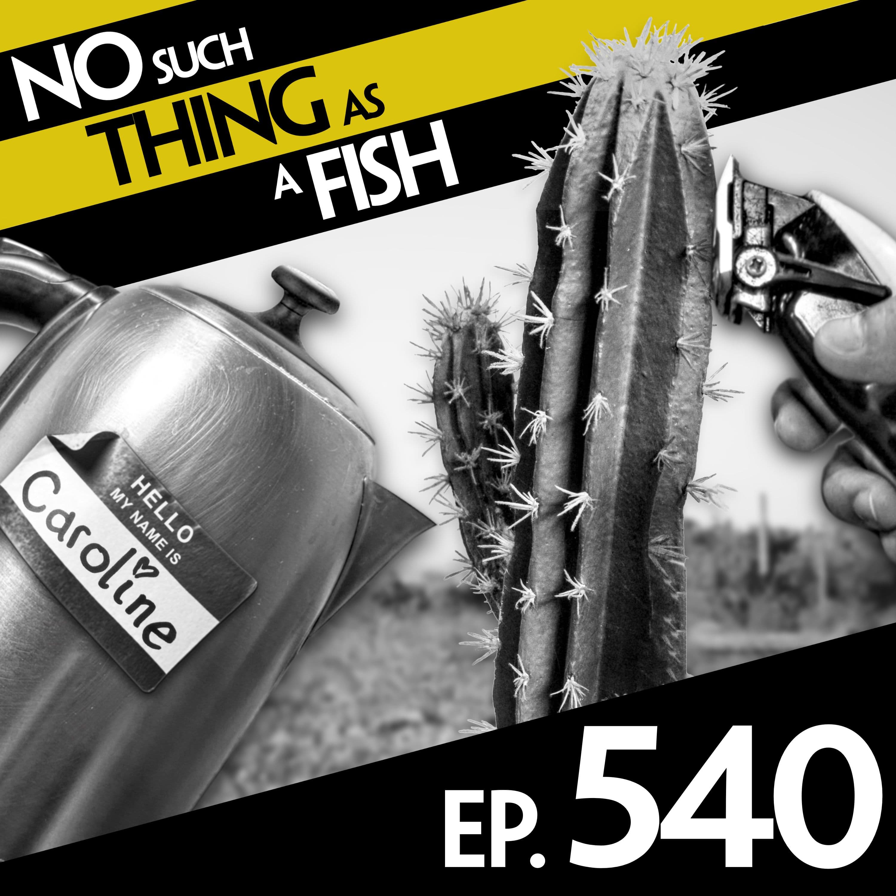 No Such Thing As A Fish podcast cover art