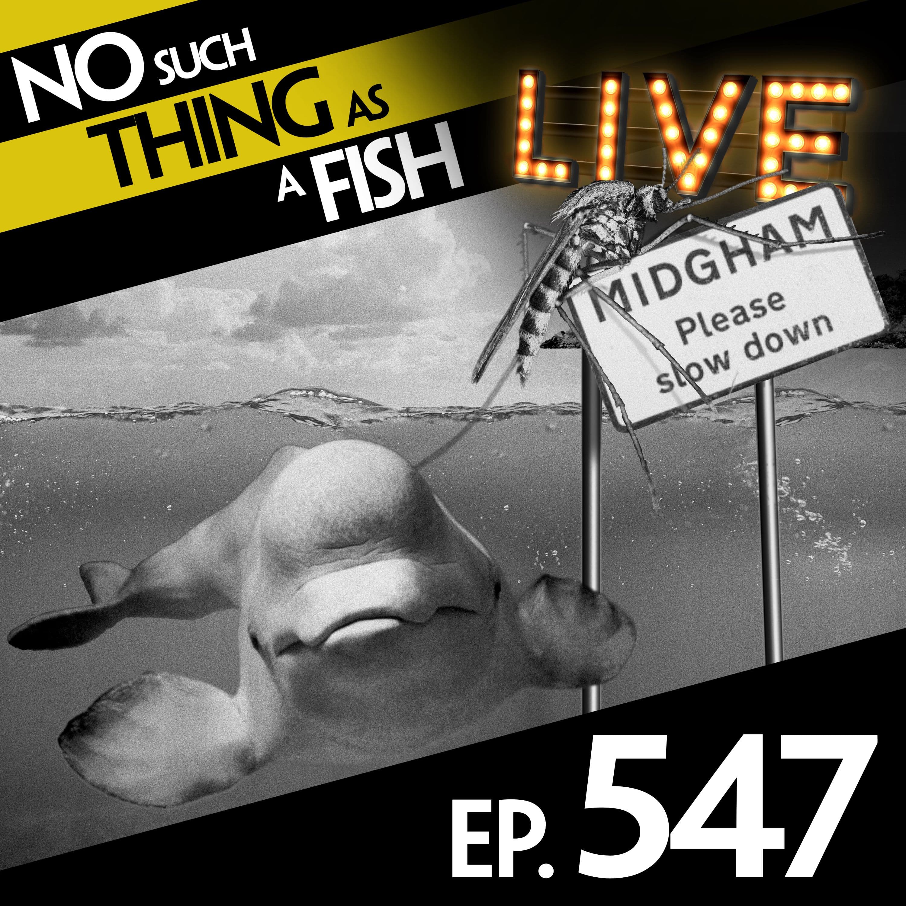 No Such Thing As A Fish podcast cover art