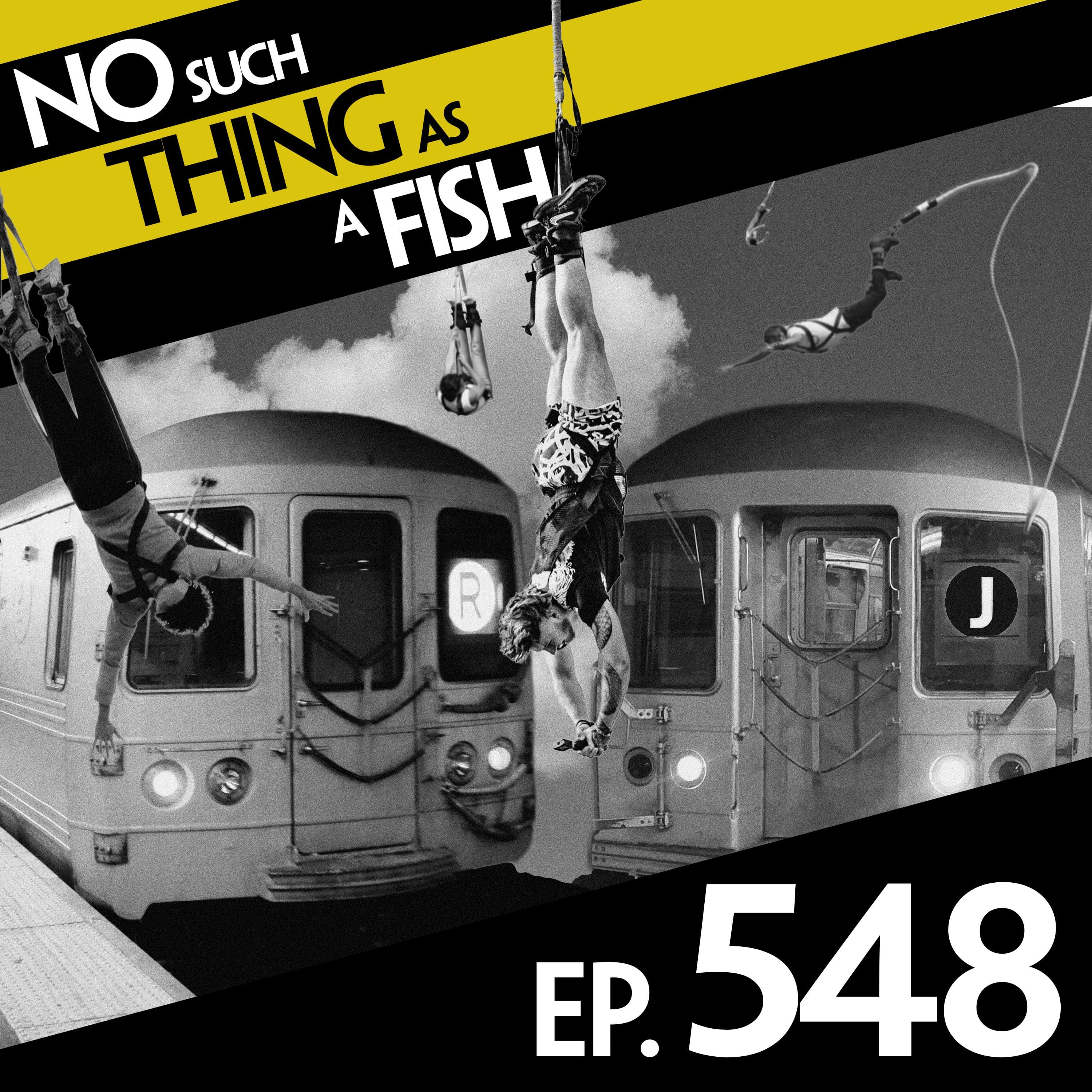 No Such Thing As A Fish podcast cover art