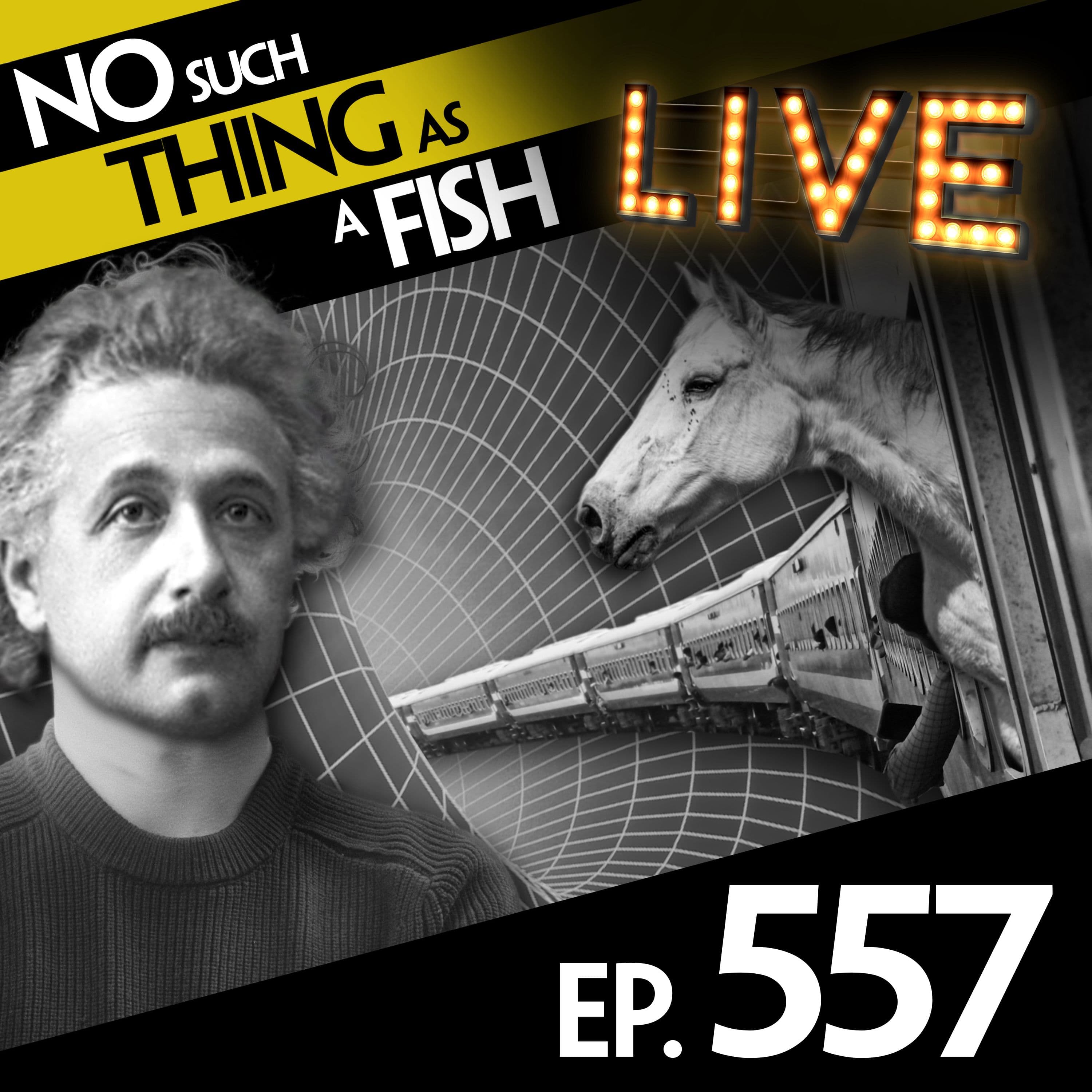 No Such Thing As A Fish podcast cover art