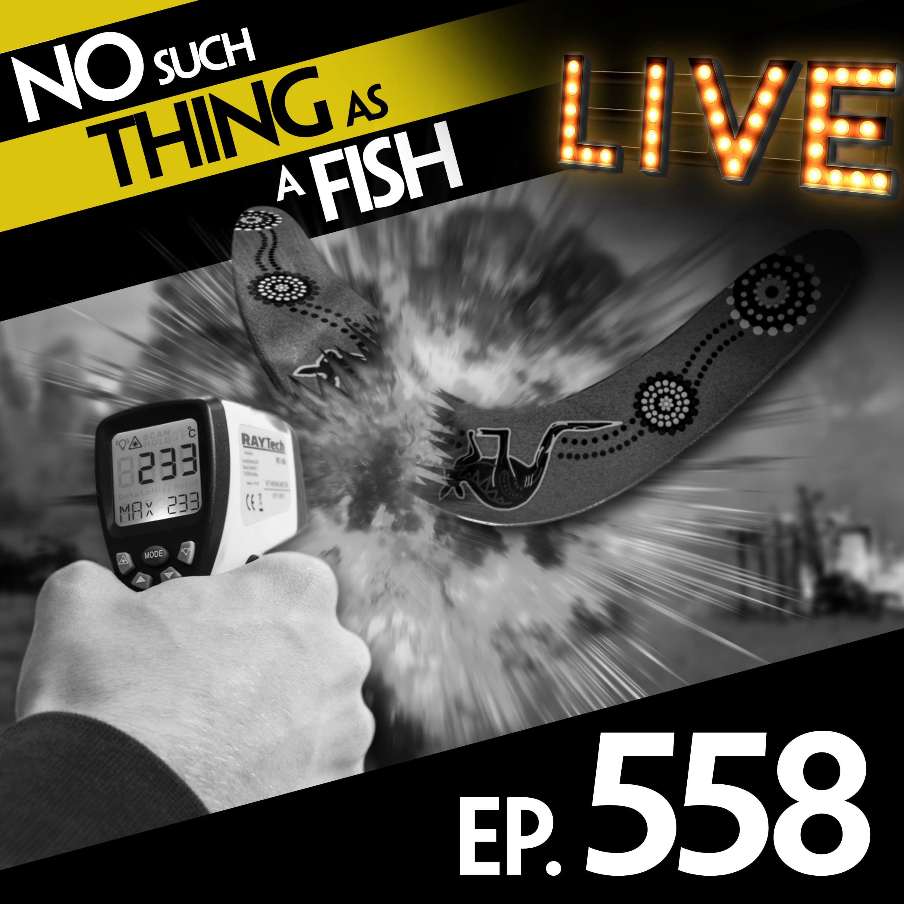 No Such Thing As A Fish podcast cover art