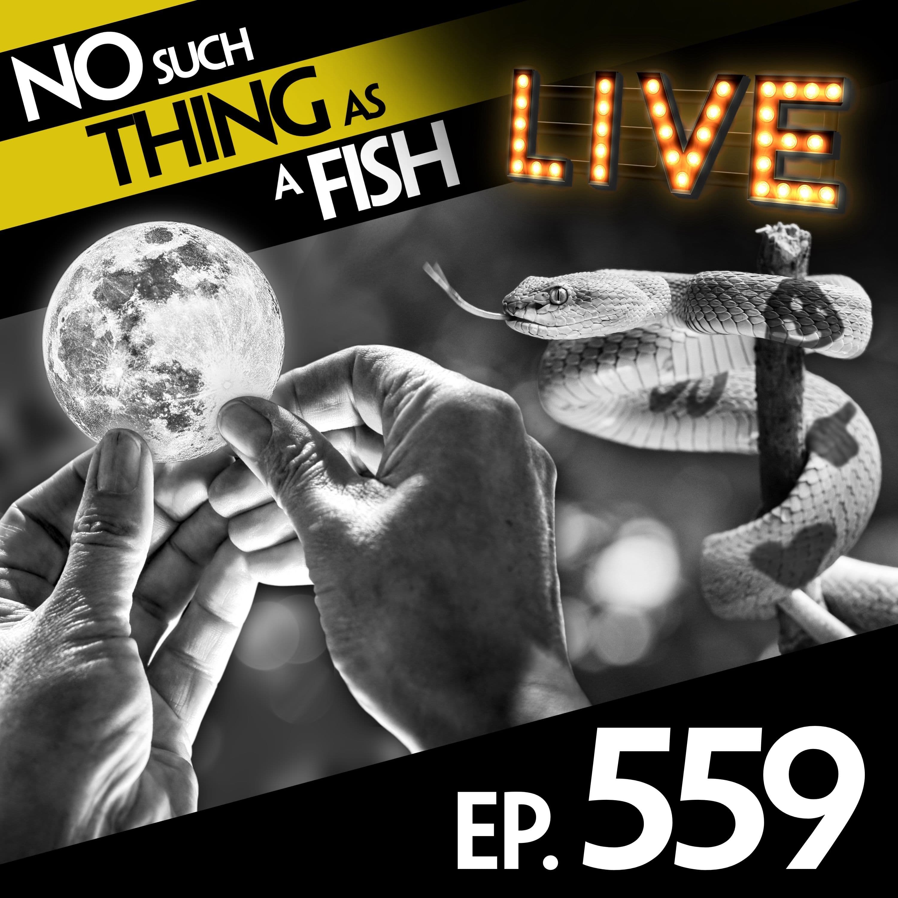 No Such Thing As A Fish podcast cover art