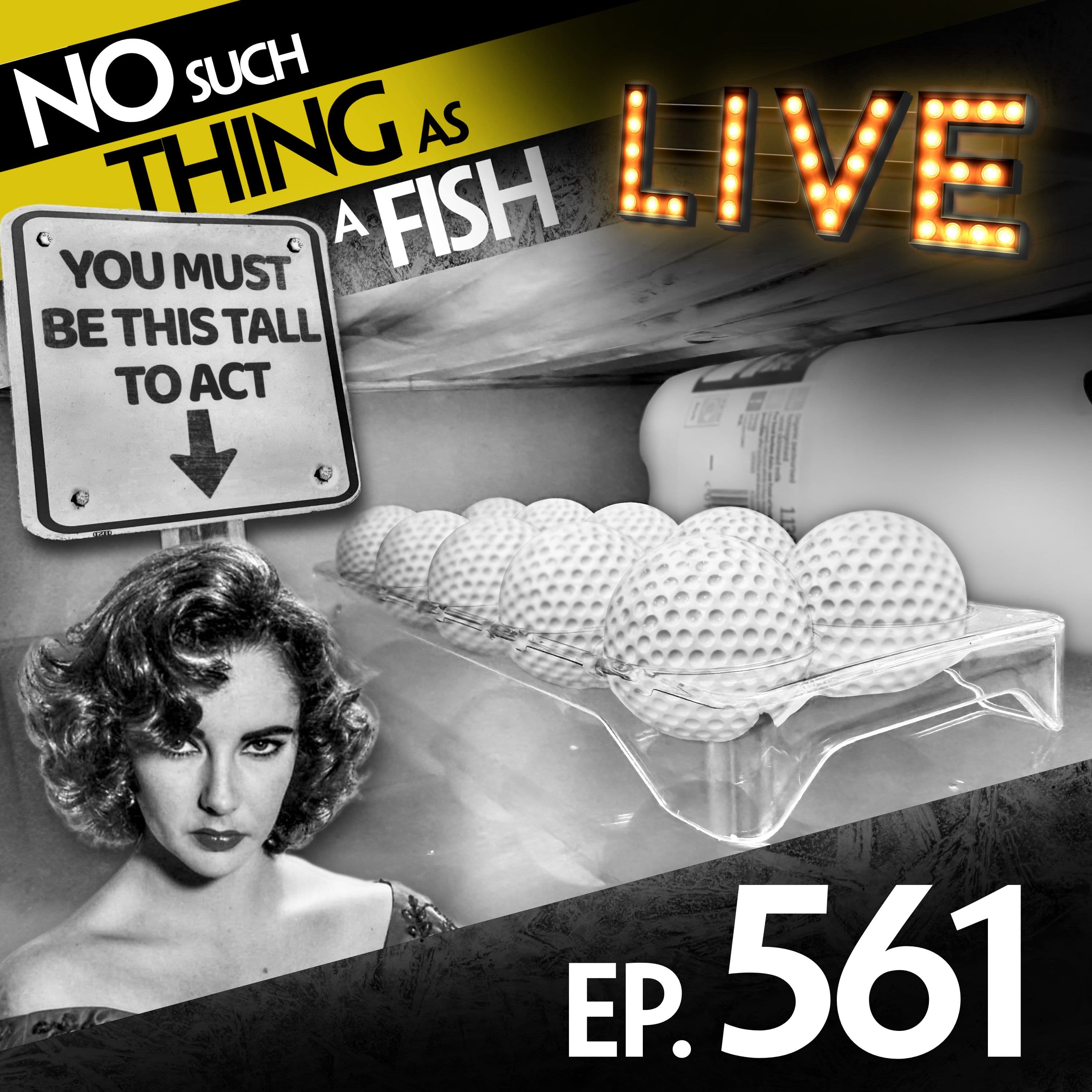 No Such Thing As A Fish podcast cover art