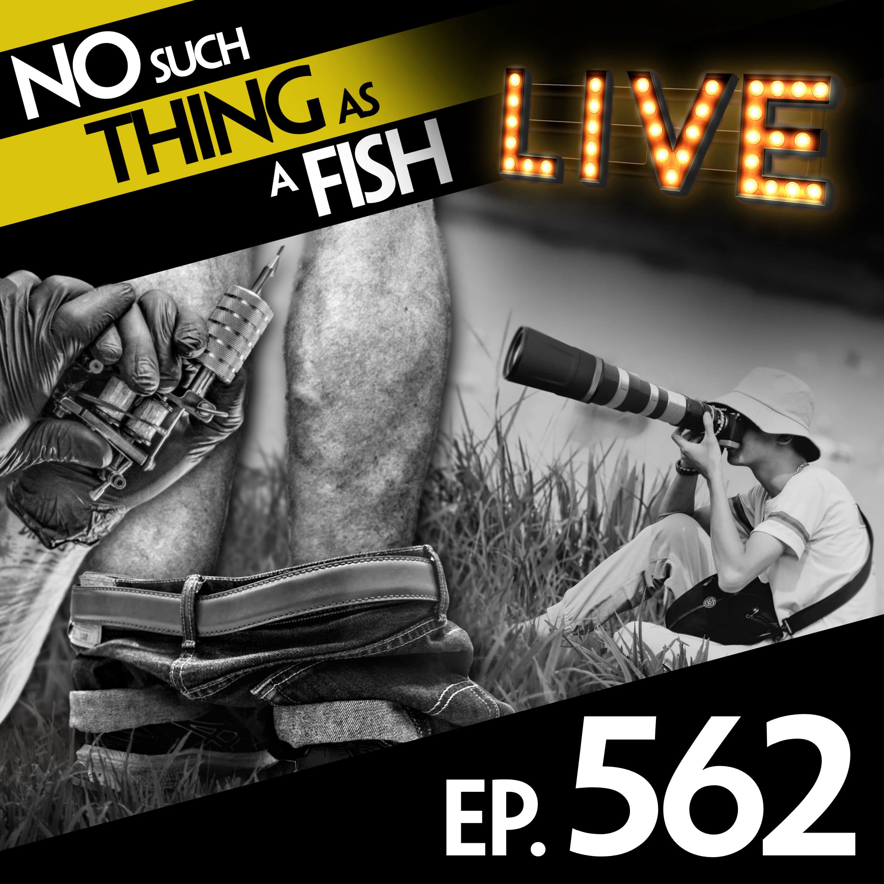 No Such Thing As A Fish podcast cover art