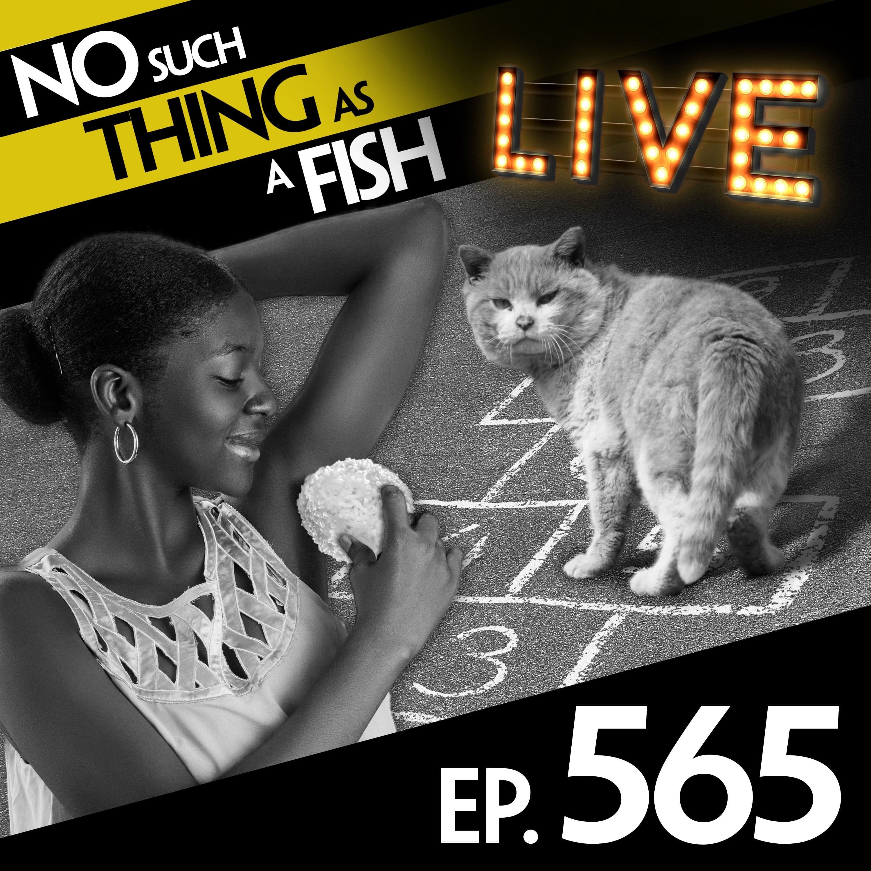 No Such Thing As A Fish podcast cover art