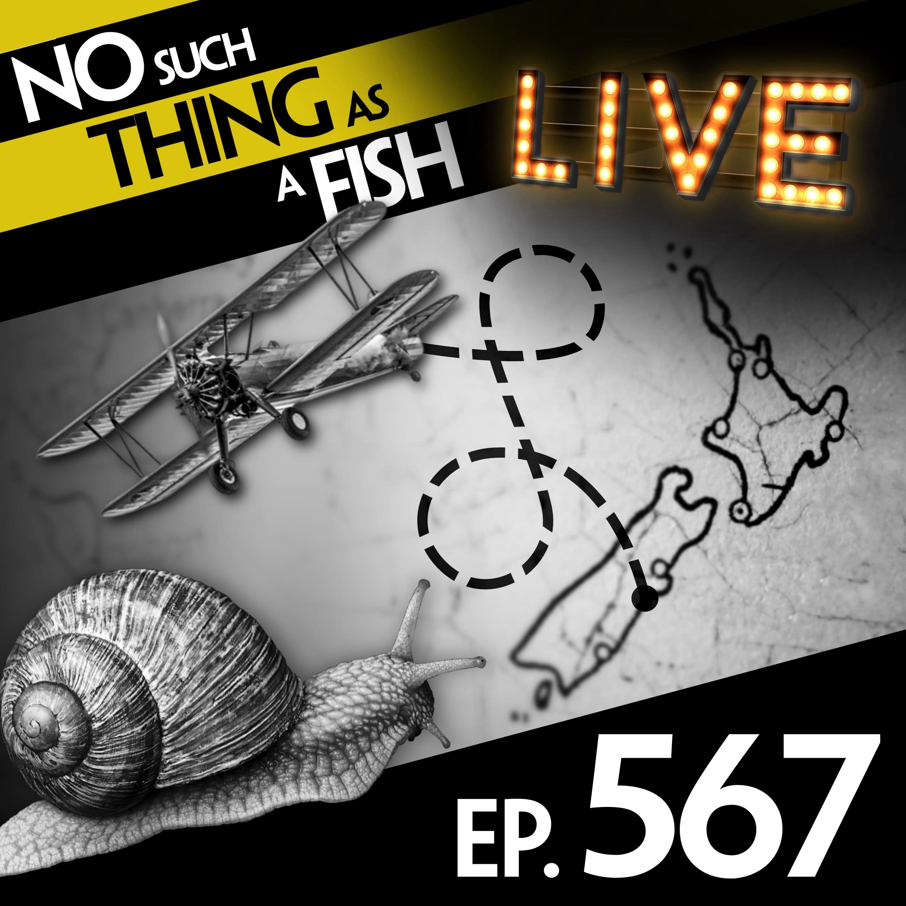 No Such Thing As A Fish podcast cover art