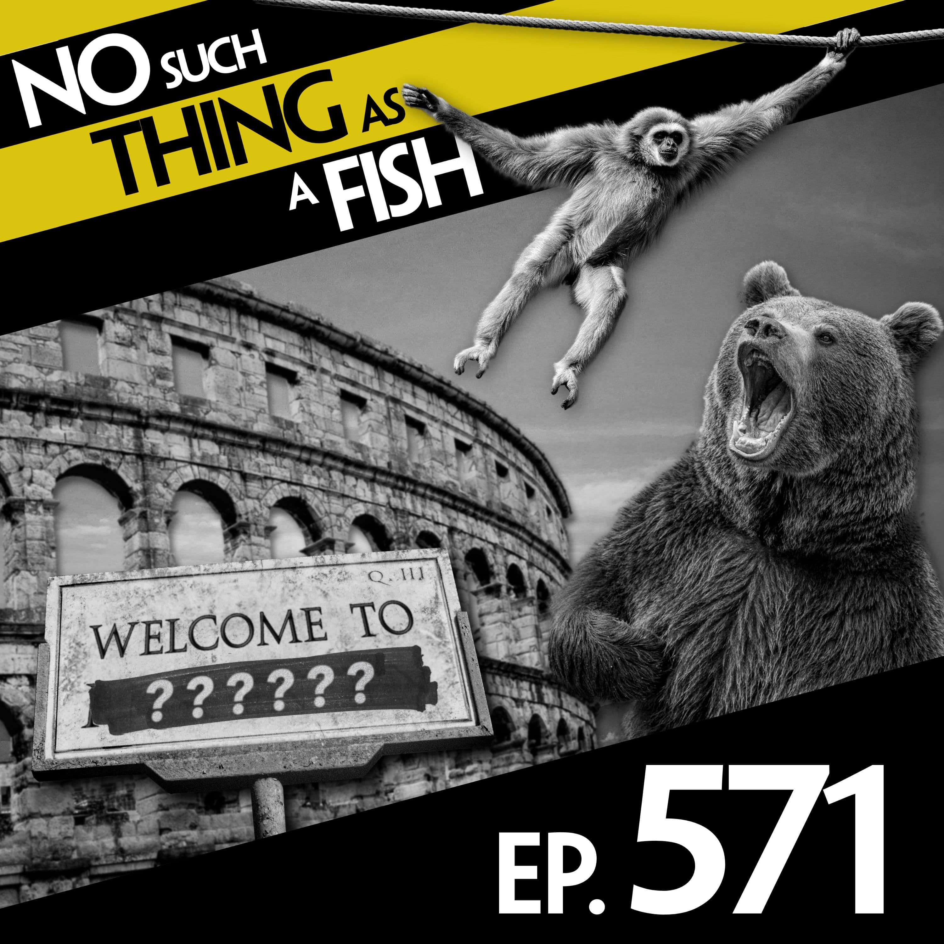 No Such Thing As A Fish podcast cover art