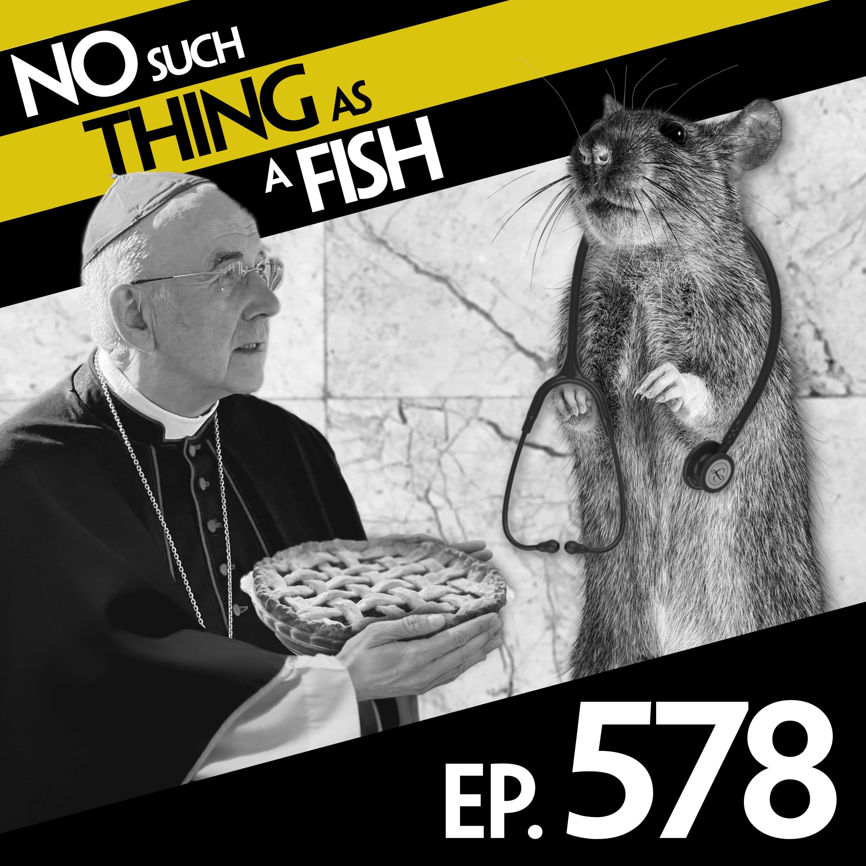 No Such Thing As A Fish podcast cover art
