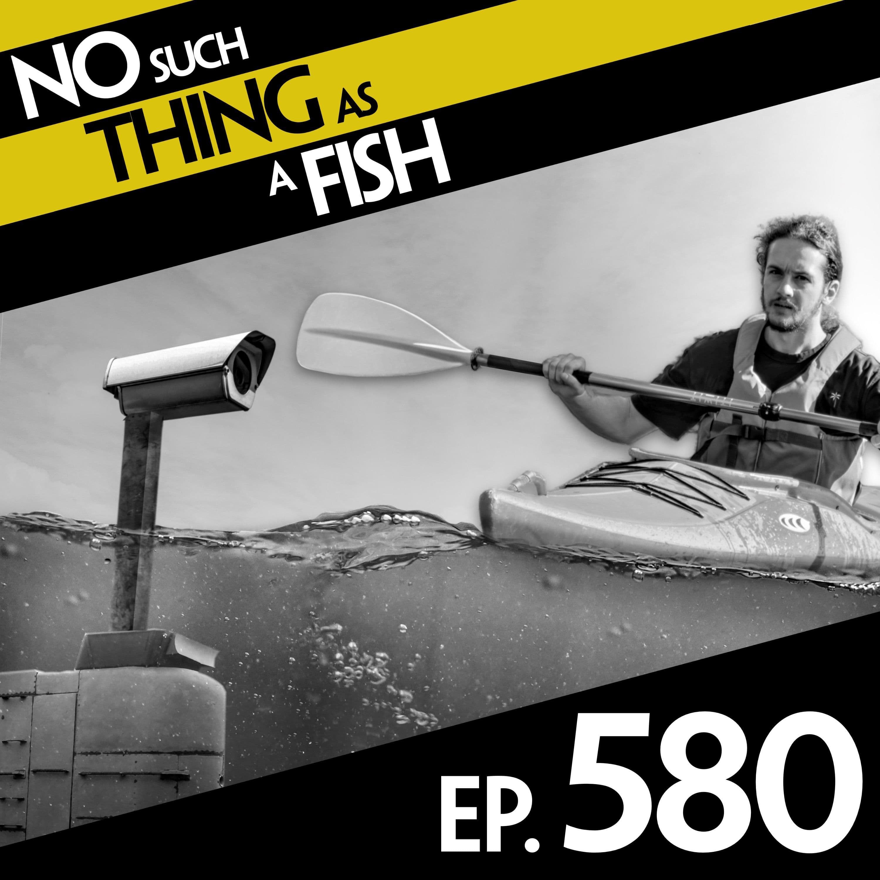 No Such Thing As A Fish podcast cover art