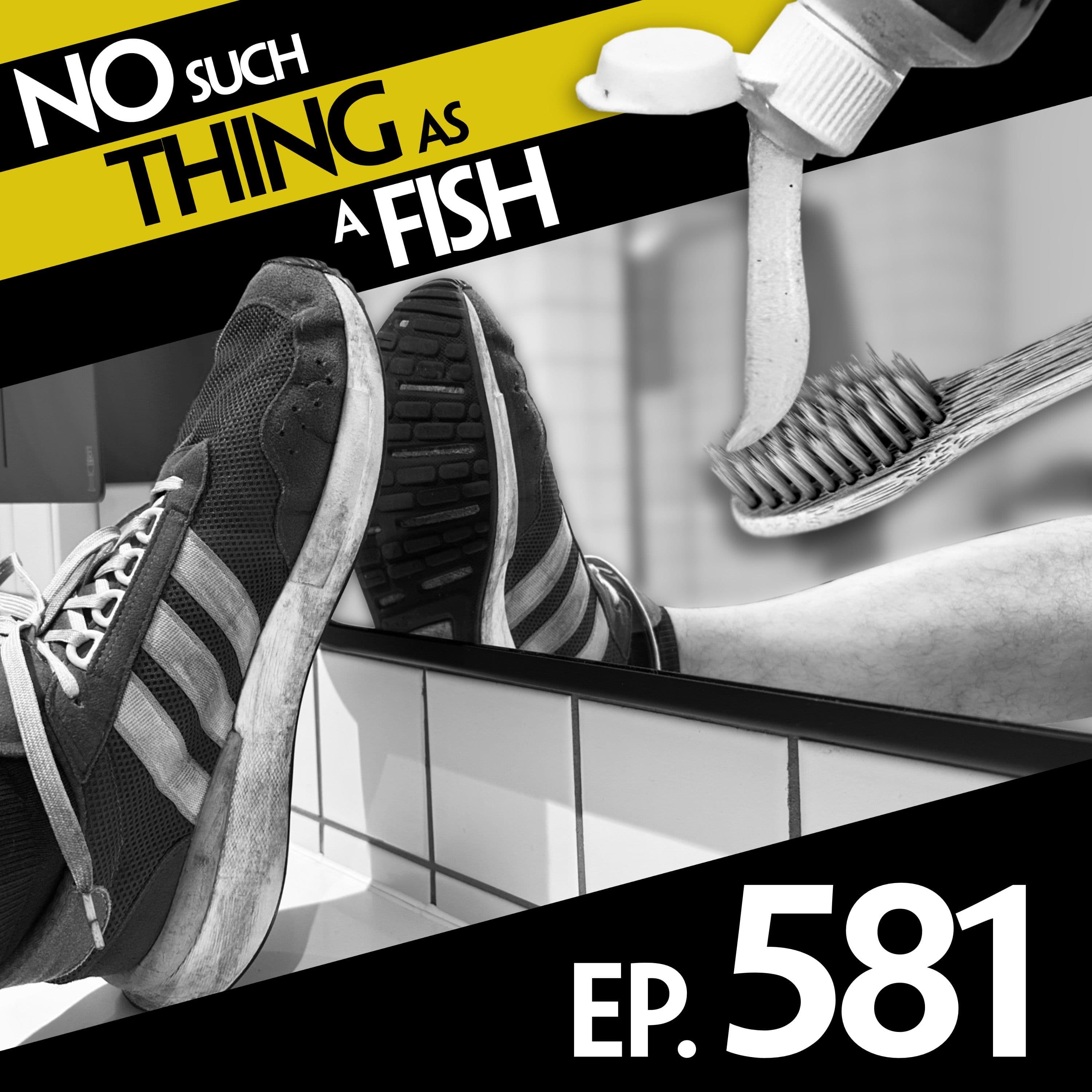 No Such Thing As A Fish podcast cover art