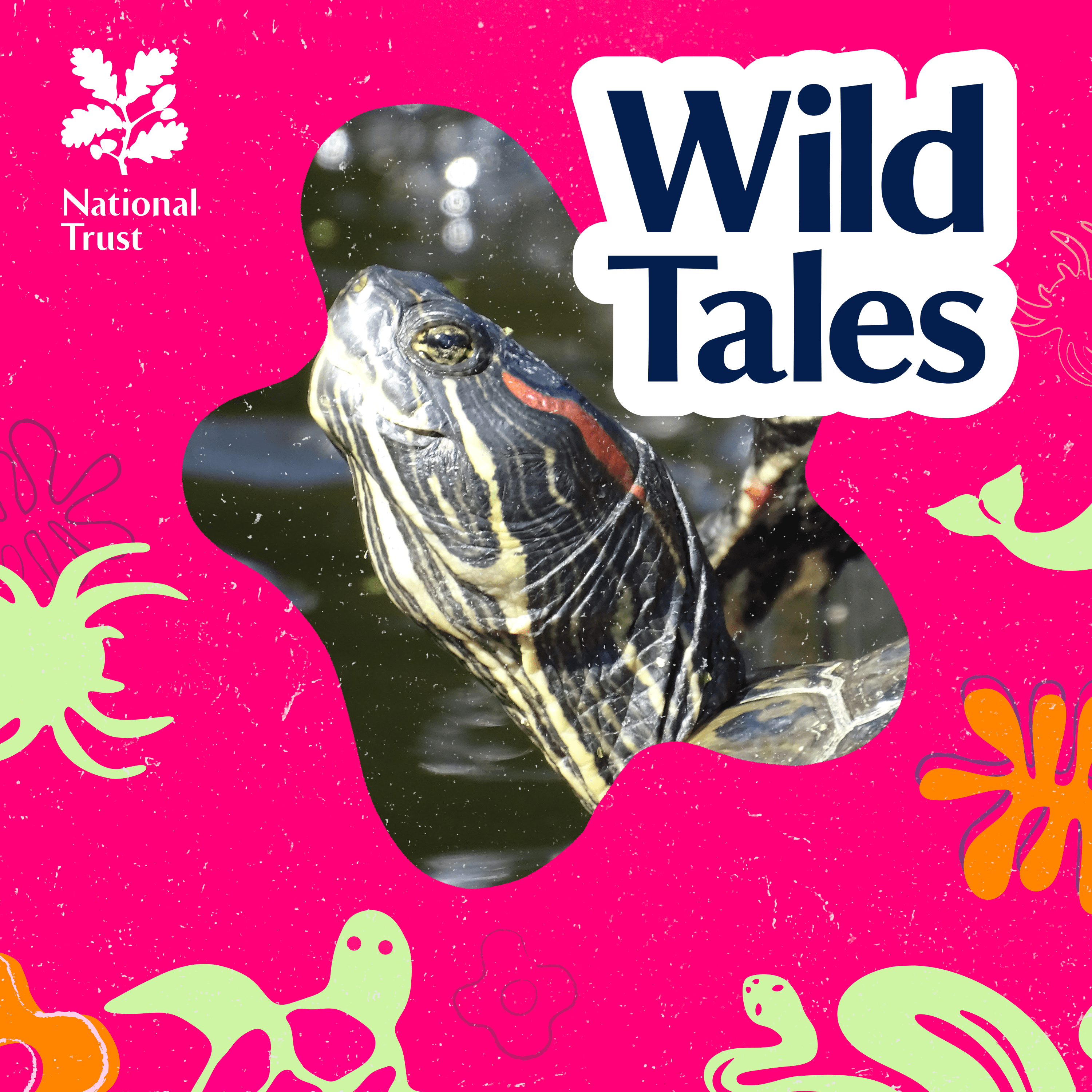 Wild Tales | Nature Podcast cover art