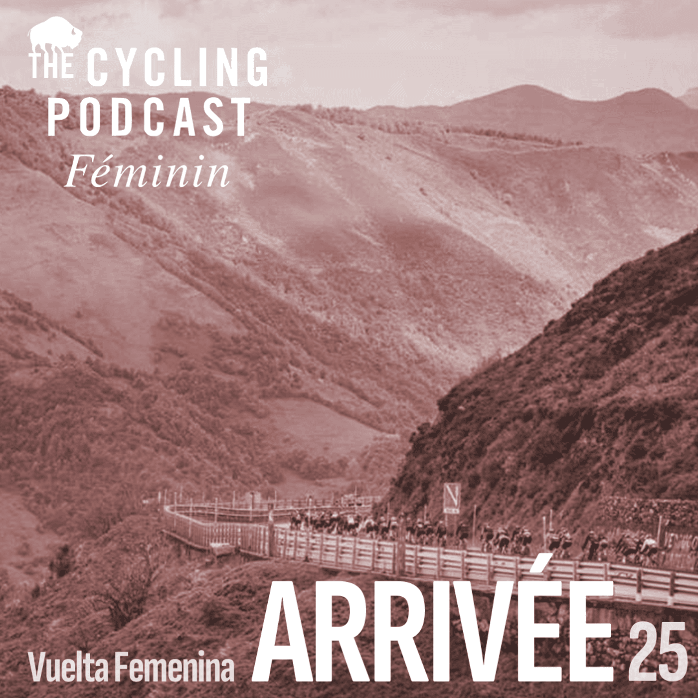 The Cycling Podcast cover art