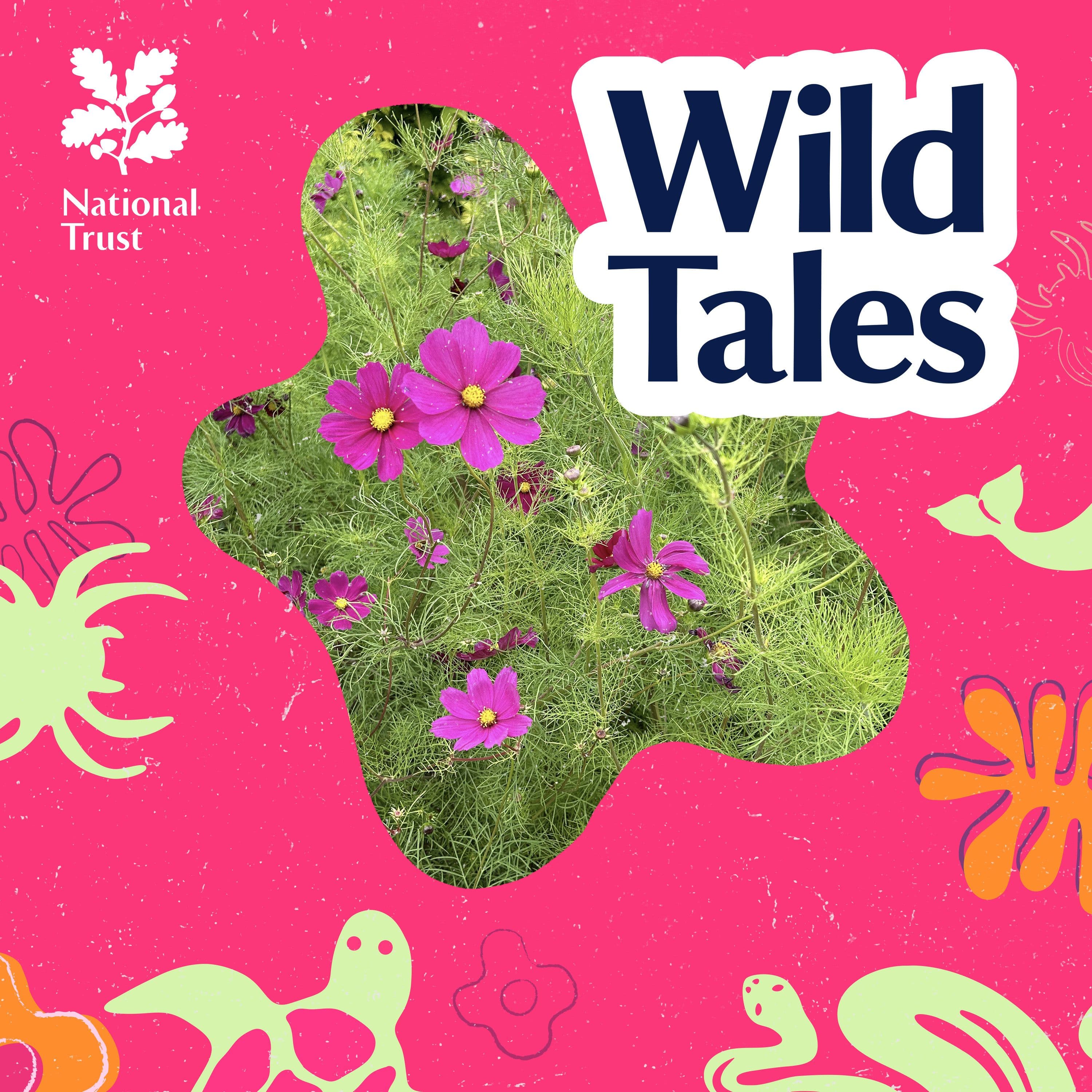 Wild Tales | Nature Podcast cover art