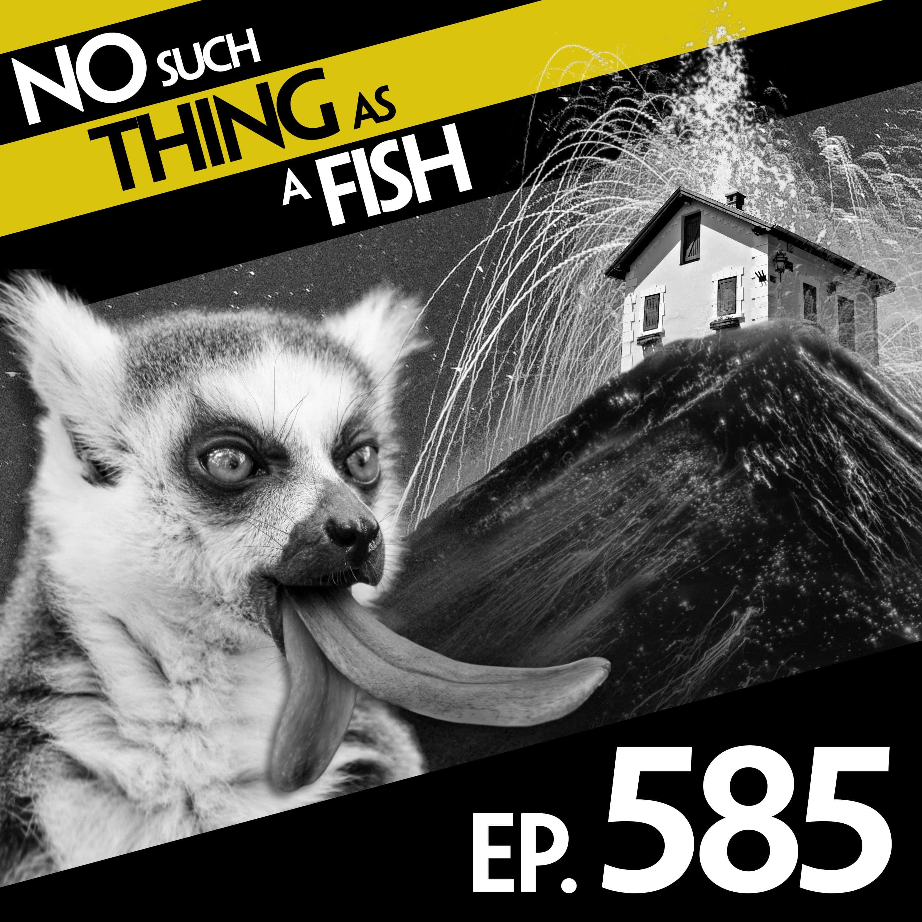 No Such Thing As A Fish podcast cover art