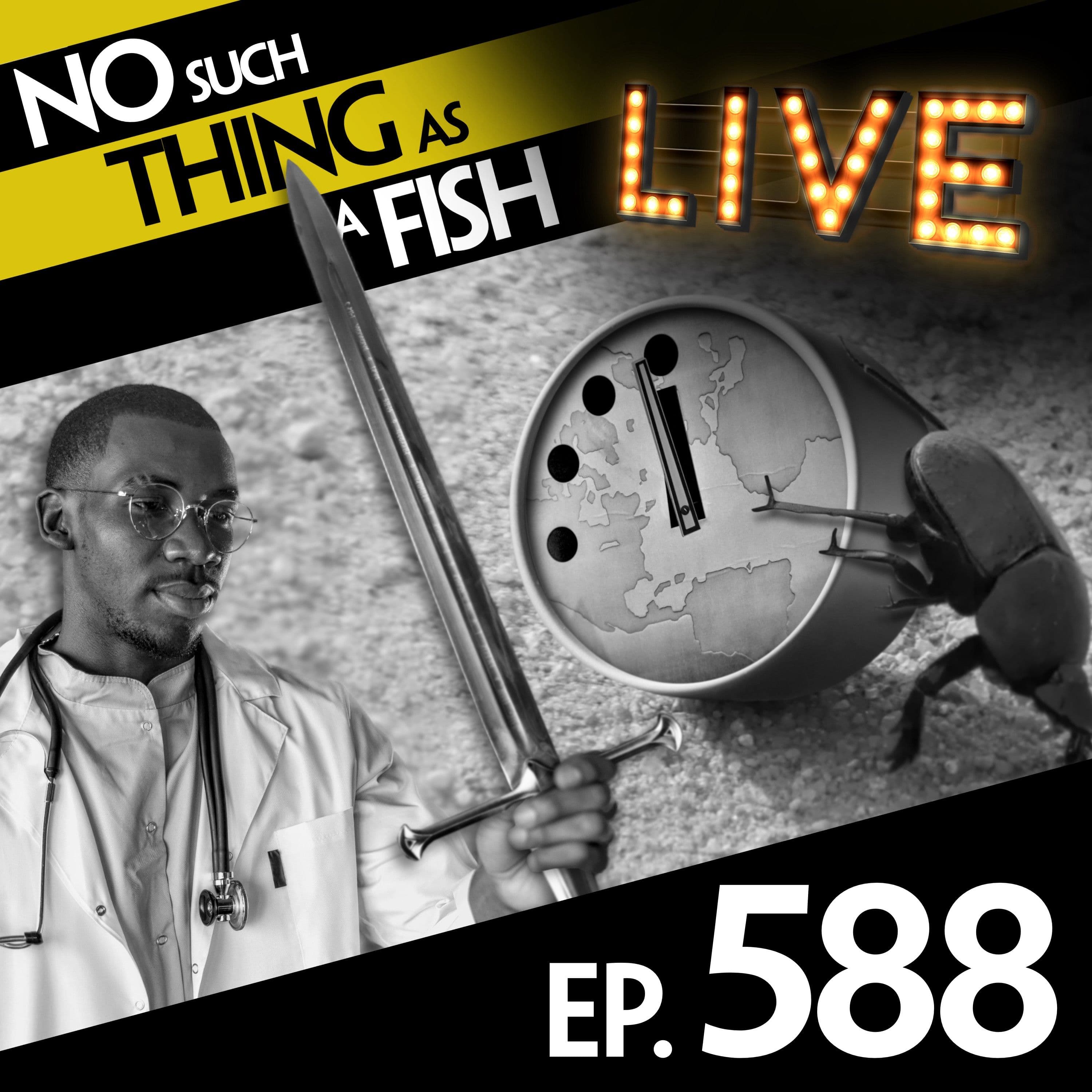 No Such Thing As A Fish podcast cover art