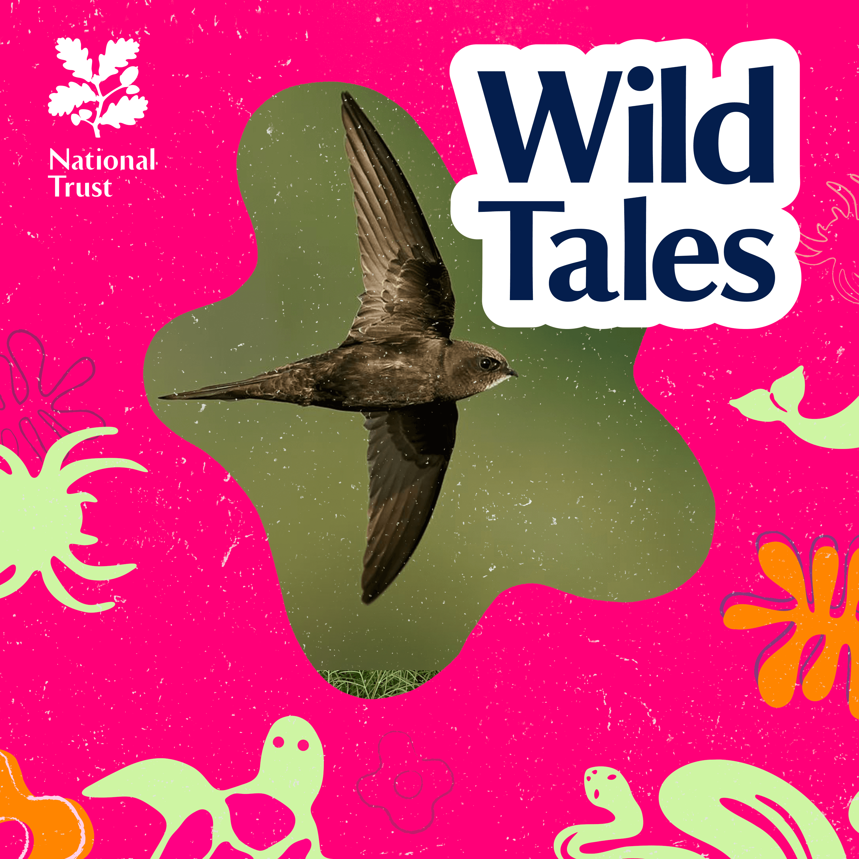 Wild Tales | Nature Podcast cover art