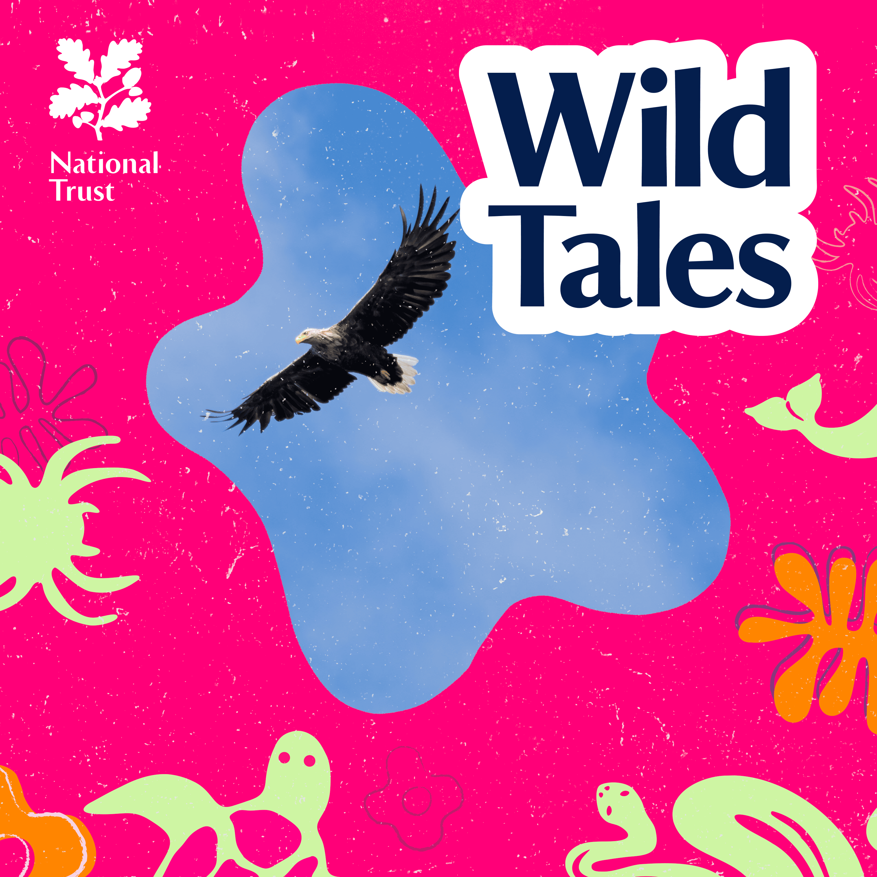 Wild Tales | Nature Podcast cover art