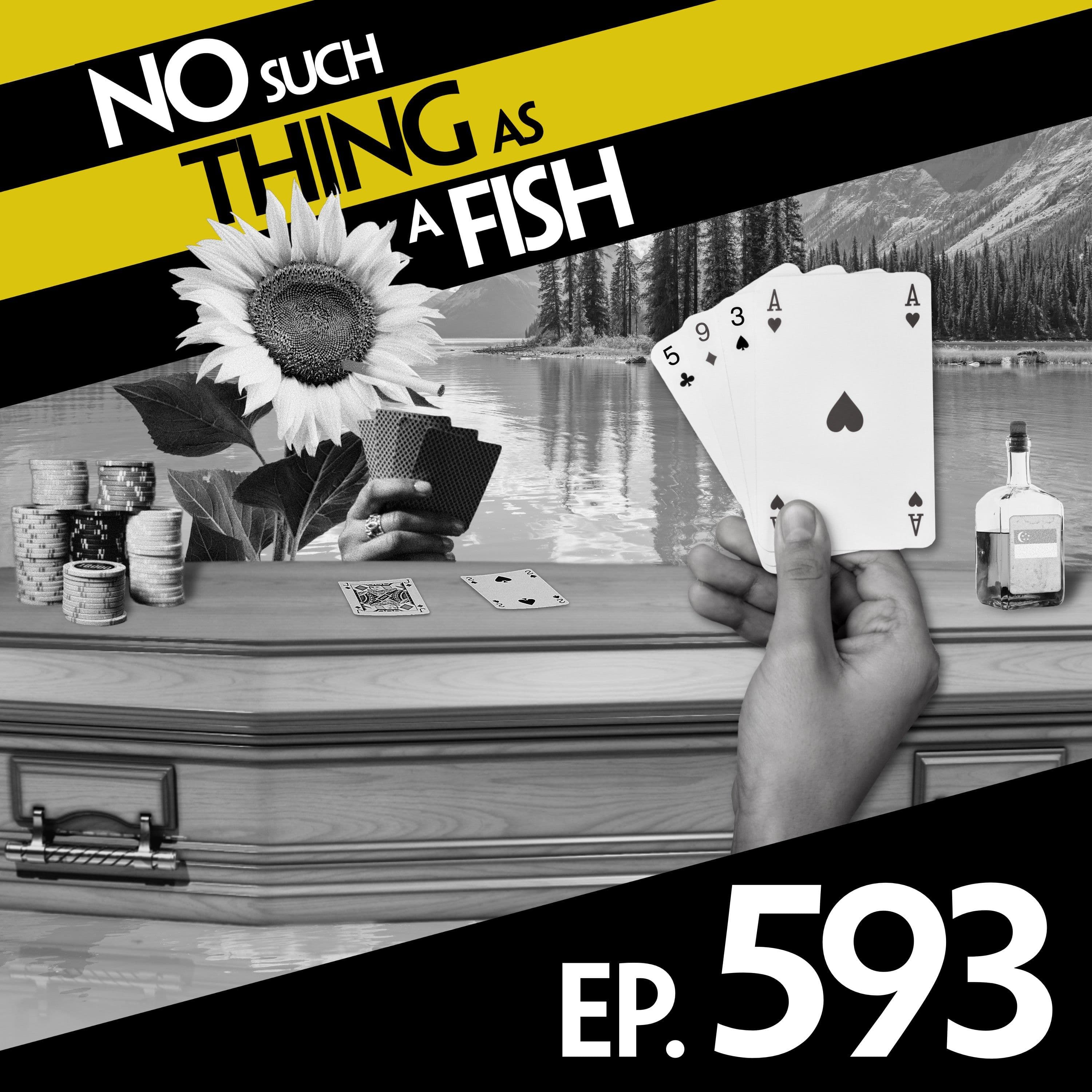 No Such Thing As A Fish podcast cover art