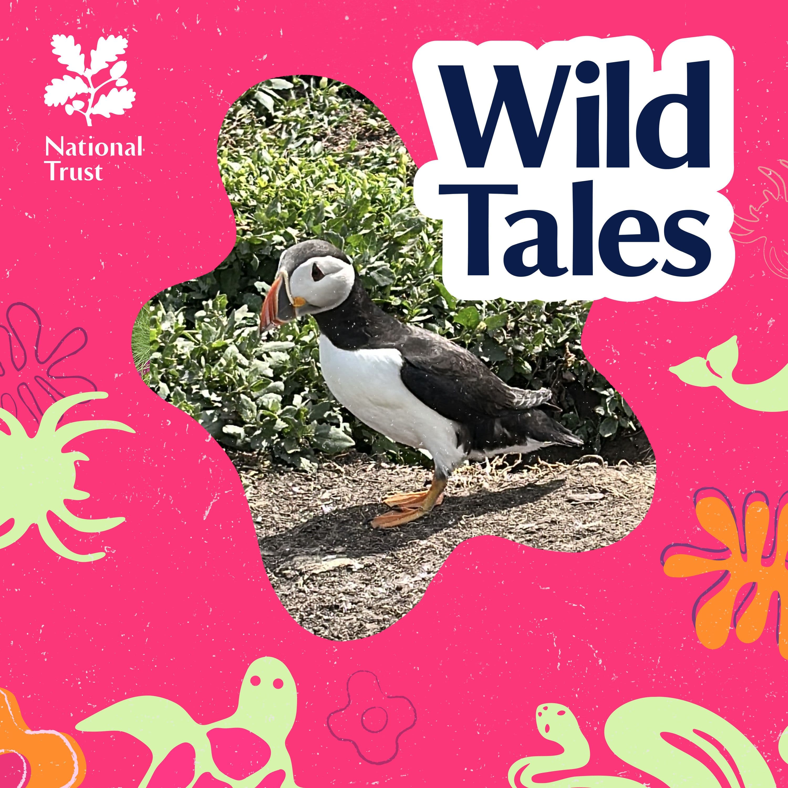 Wild Tales | Nature Podcast cover art