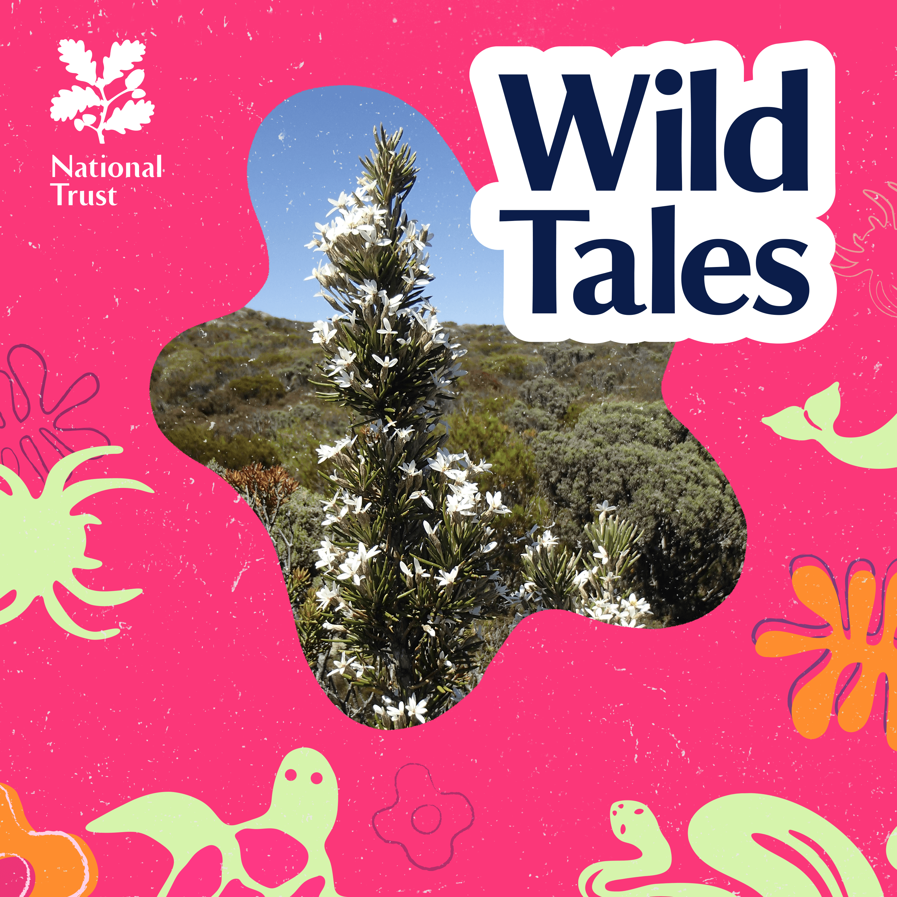 Wild Tales | Nature Podcast cover art