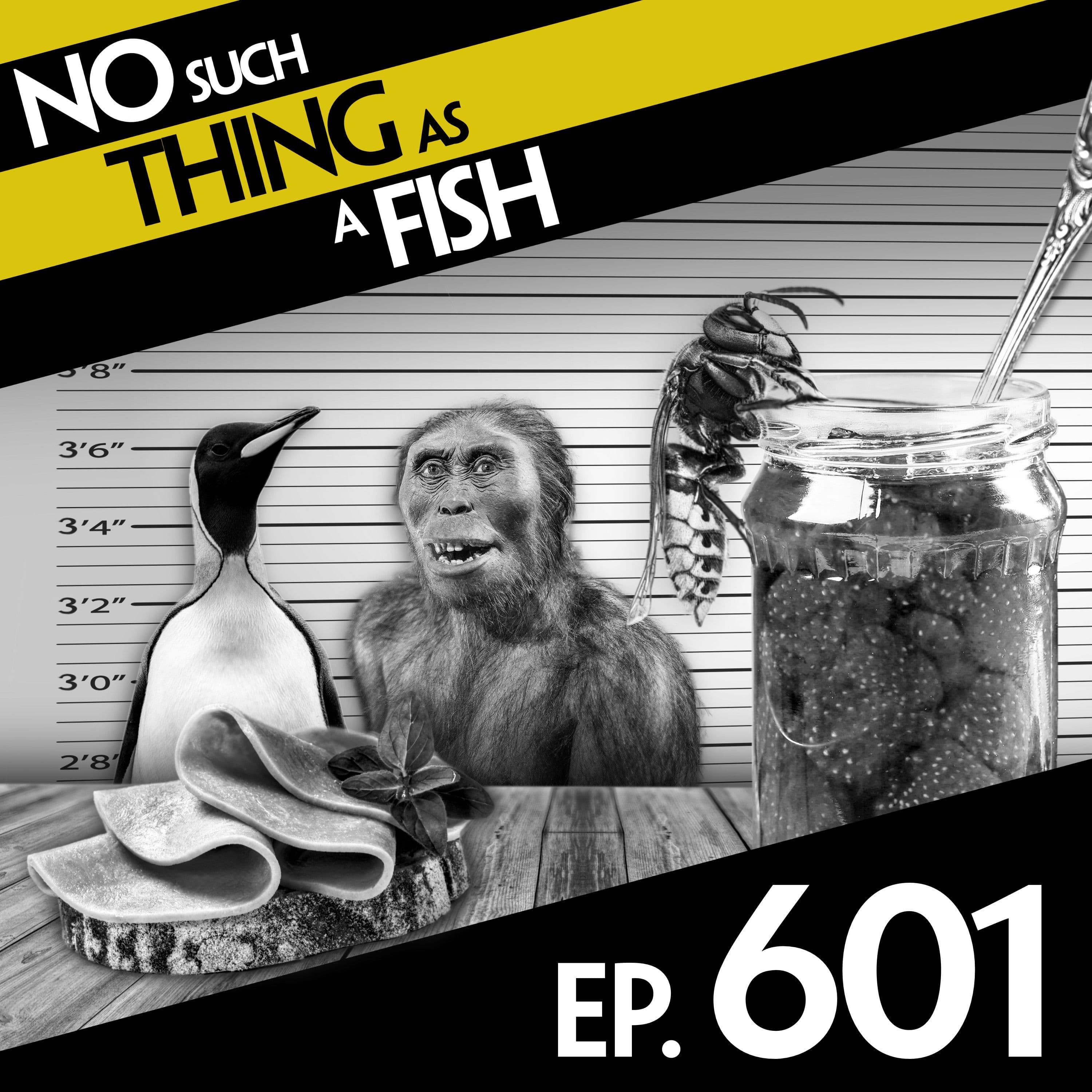 No Such Thing As A Fish podcast cover art