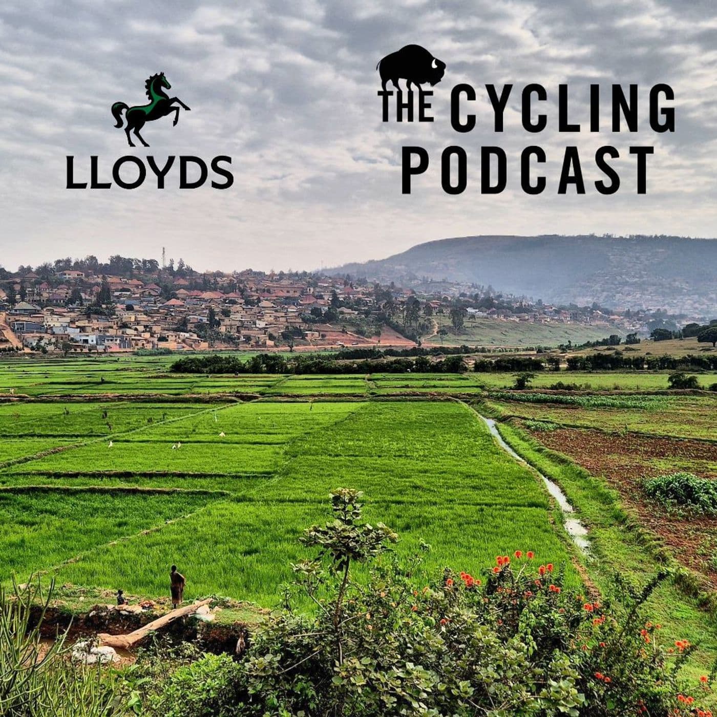 The Cycling Podcast cover art