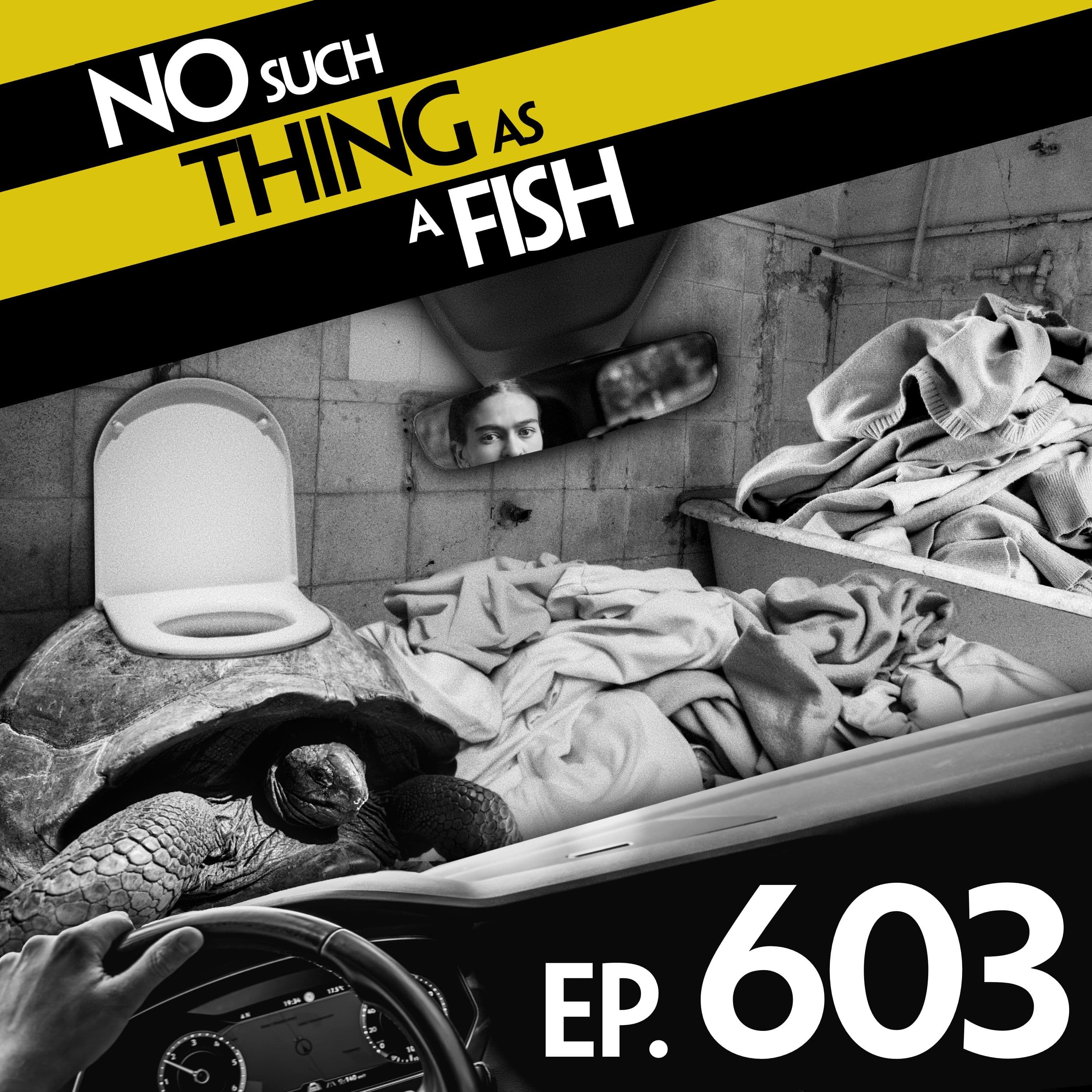 No Such Thing As A Fish podcast cover art