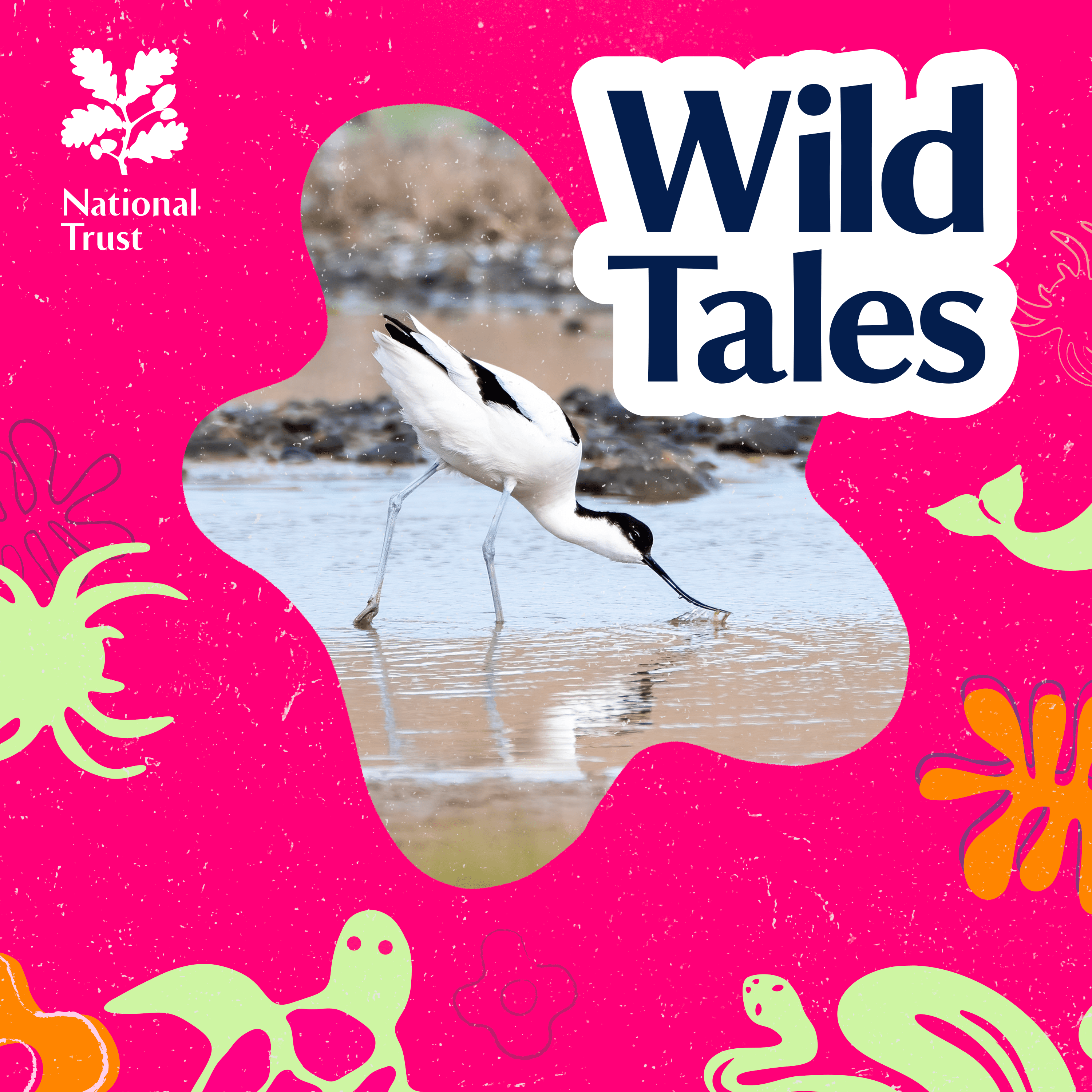 Wild Tales | Nature Podcast cover art