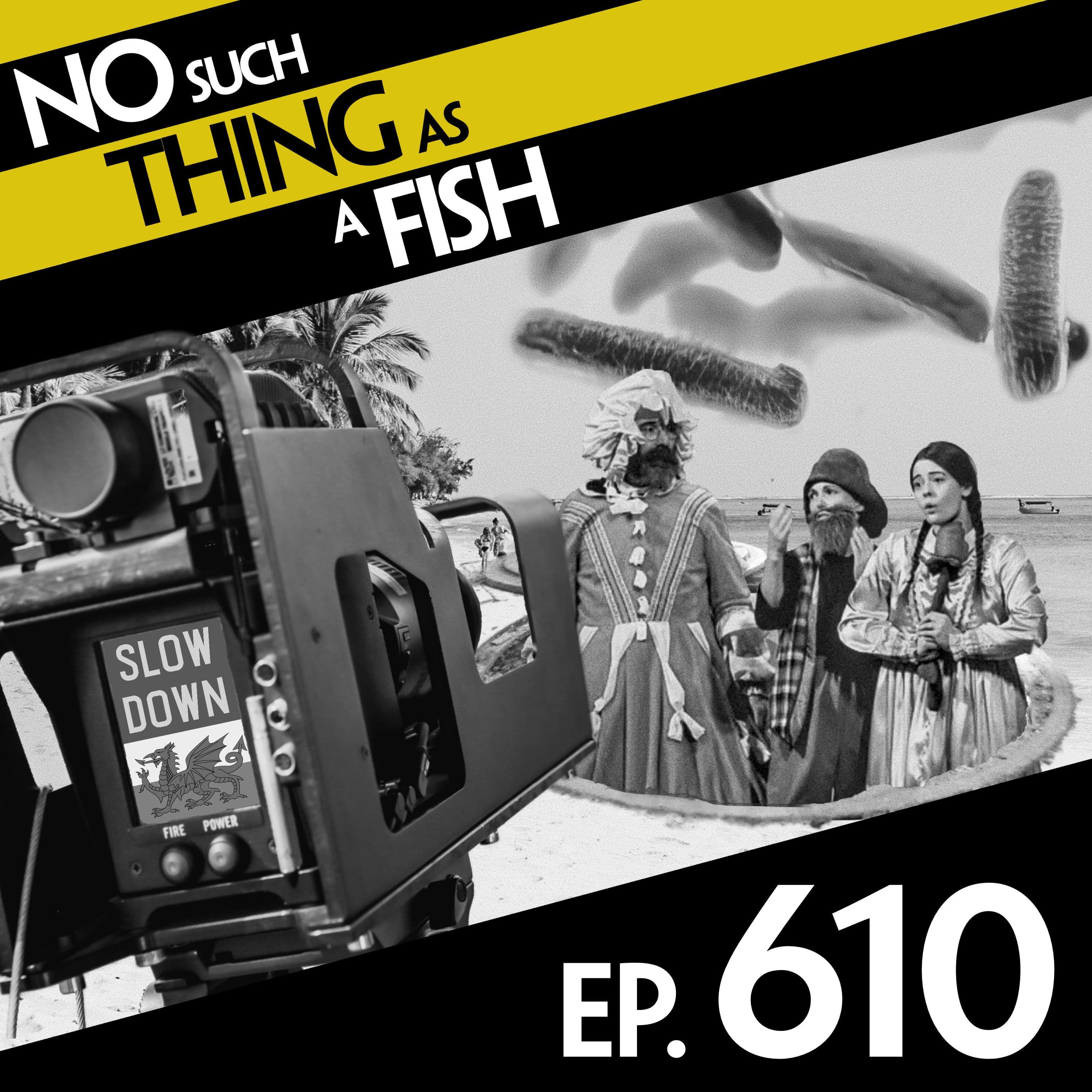 No Such Thing As A Fish podcast cover art