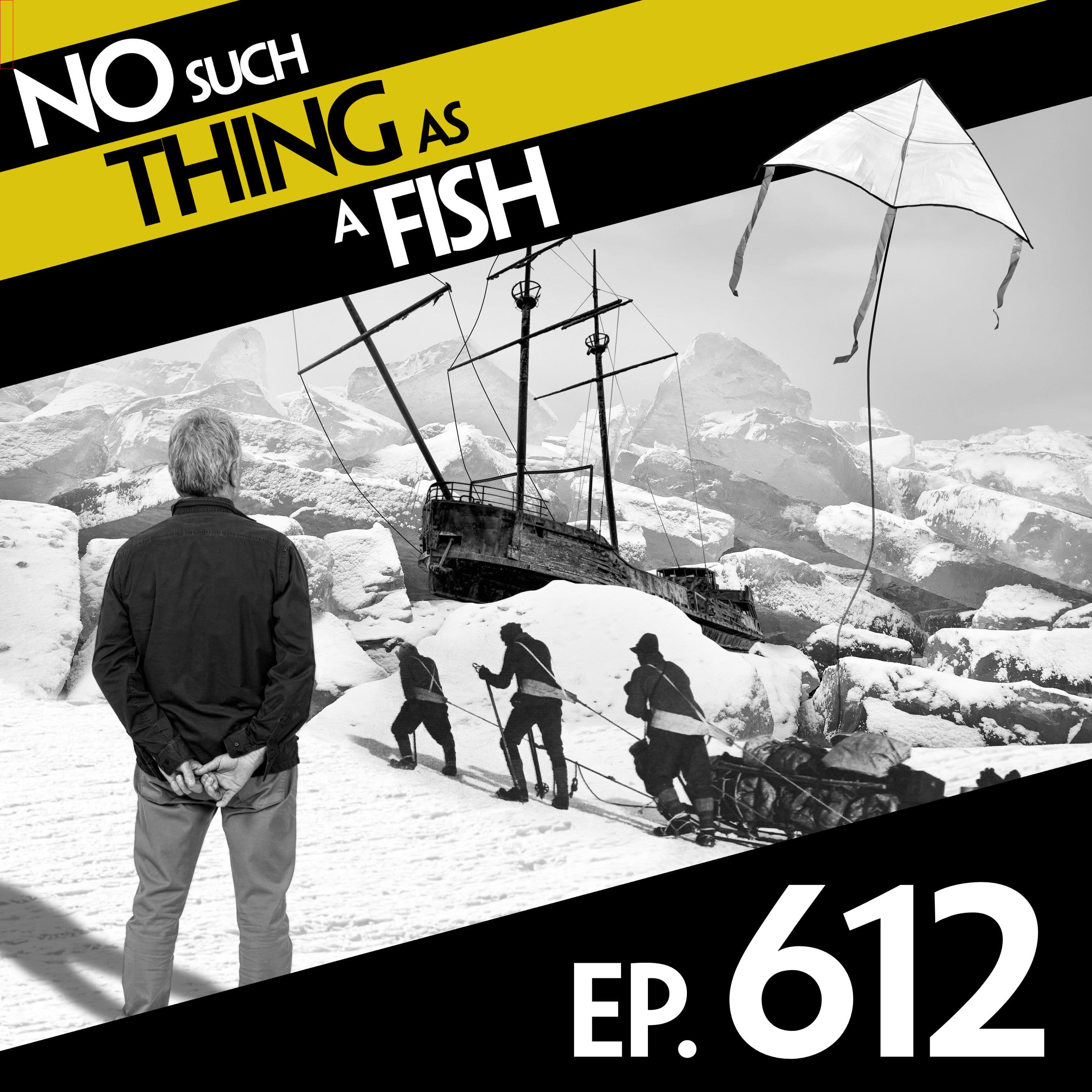 No Such Thing As A Fish podcast cover art
