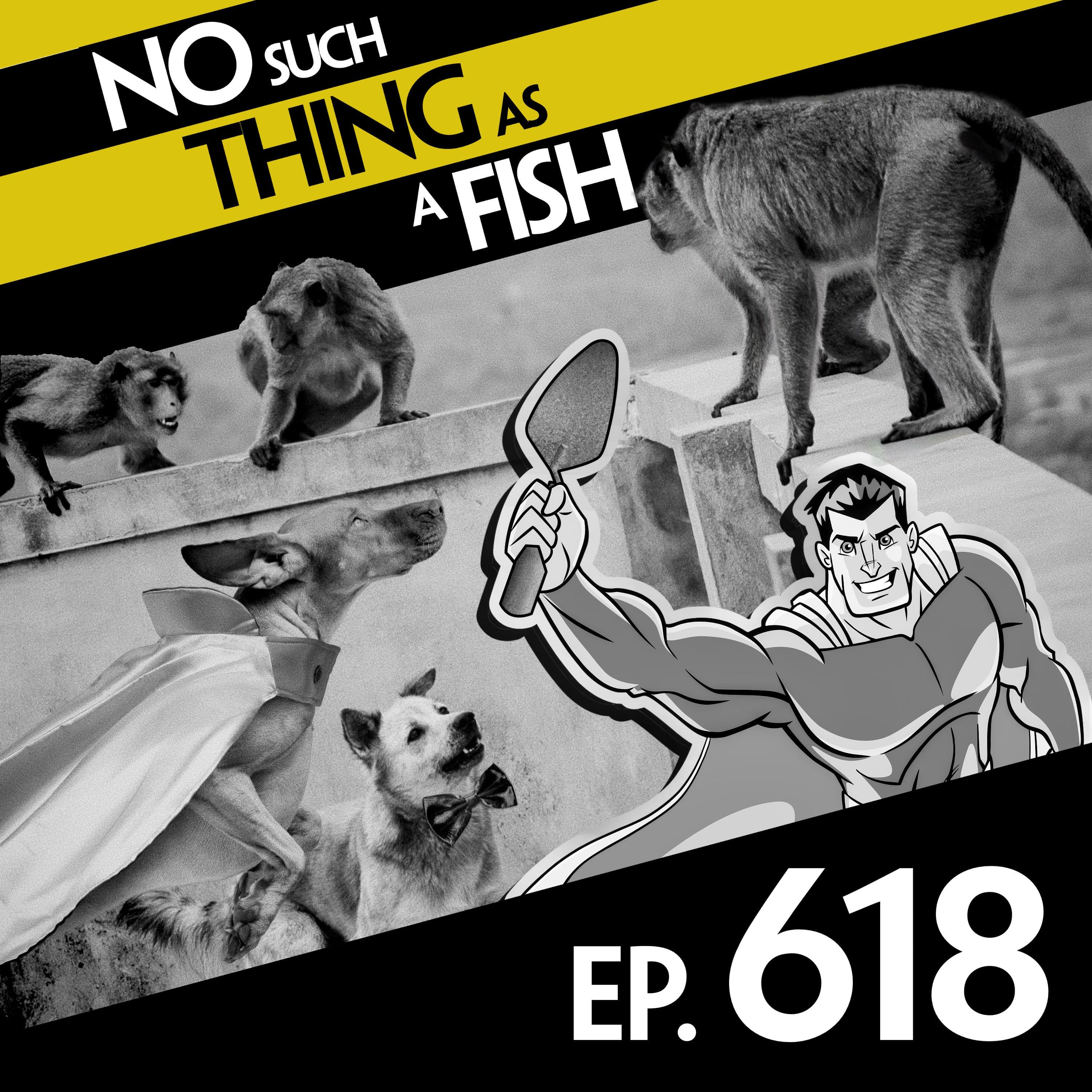 No Such Thing As A Fish podcast cover art